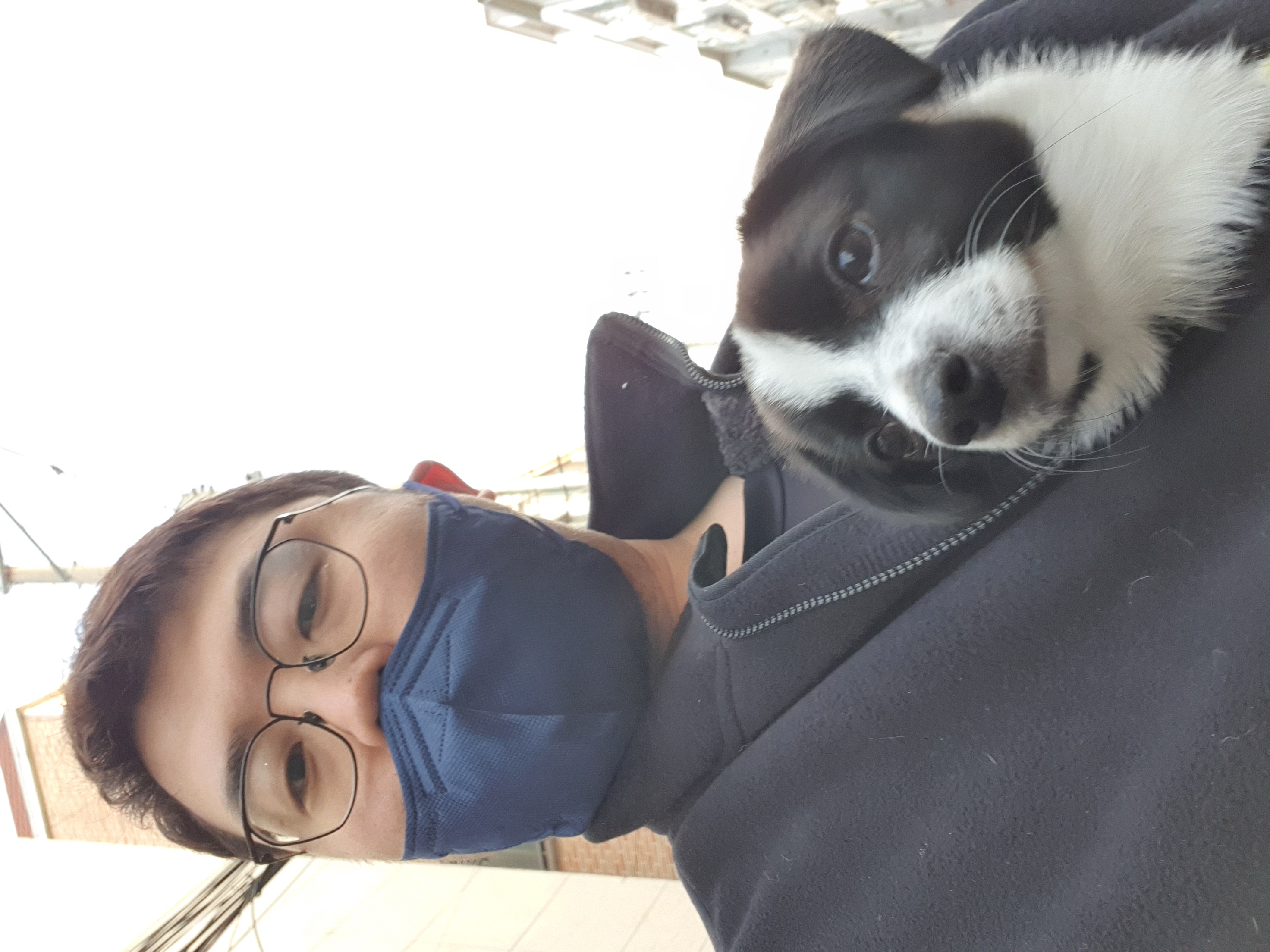 보리(꽃잎이) 입양 1달 후기 입니다~