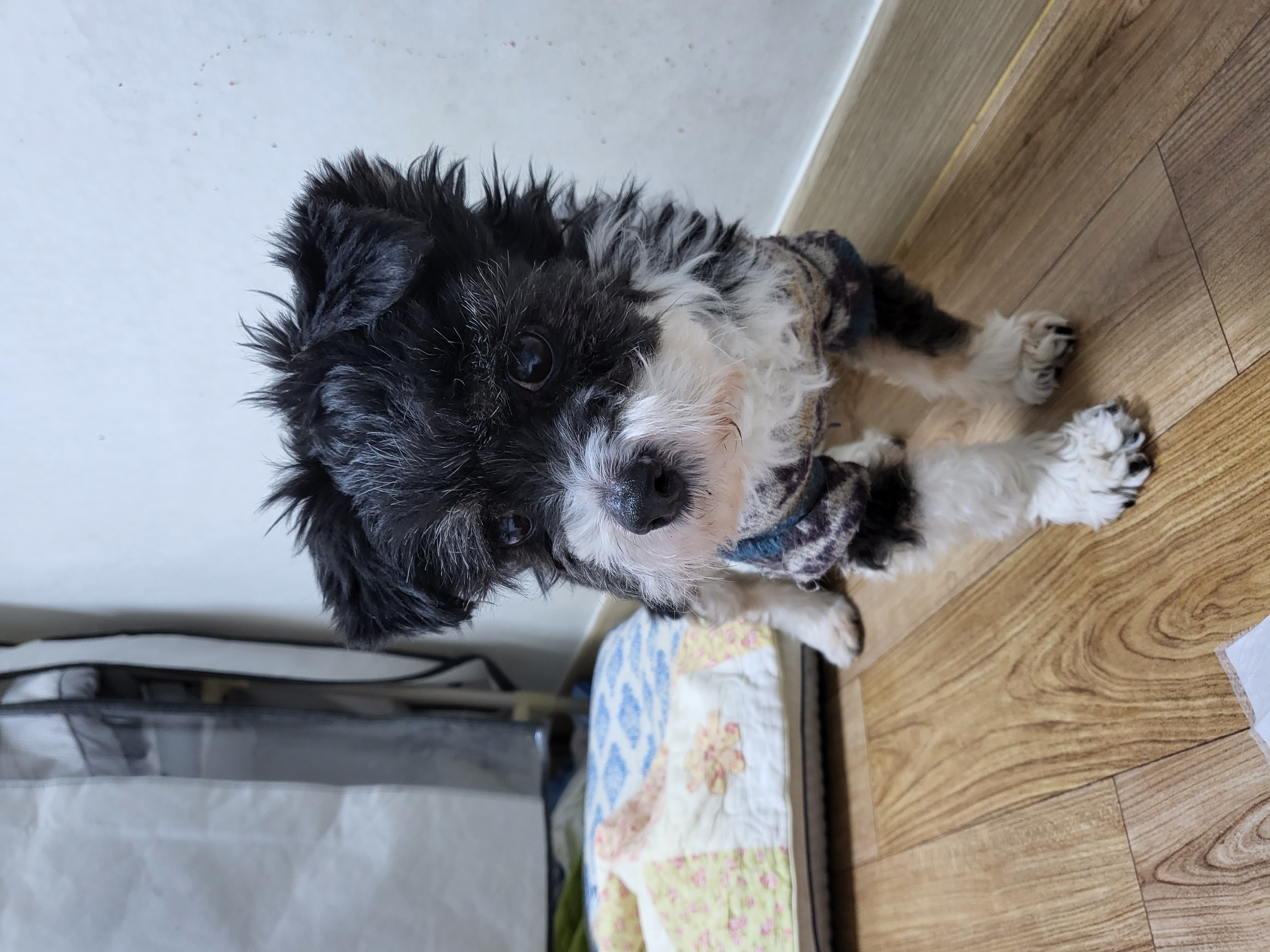 우리, 청아 네 집입니다.