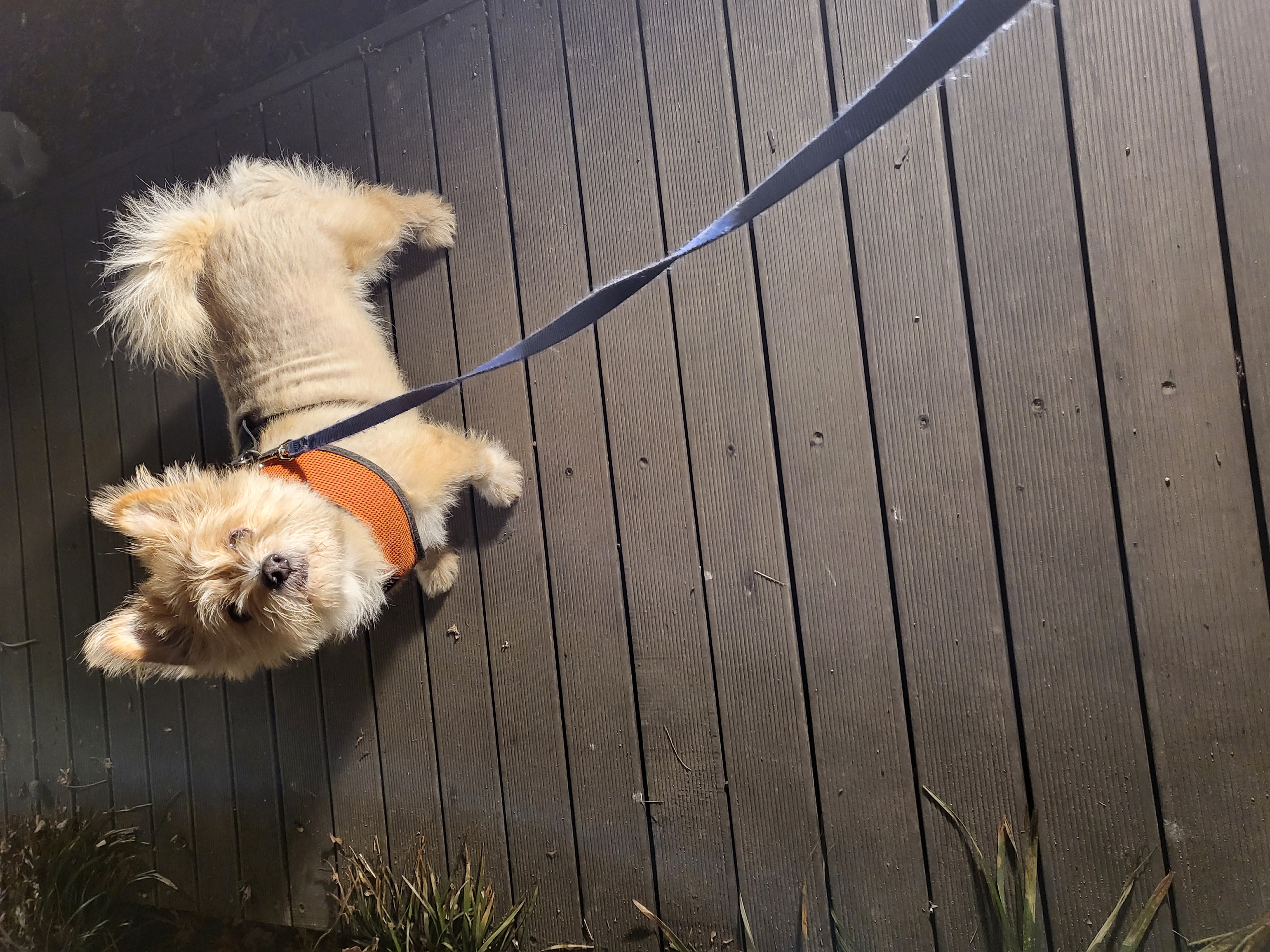 우리, 청아 네 집입니다.