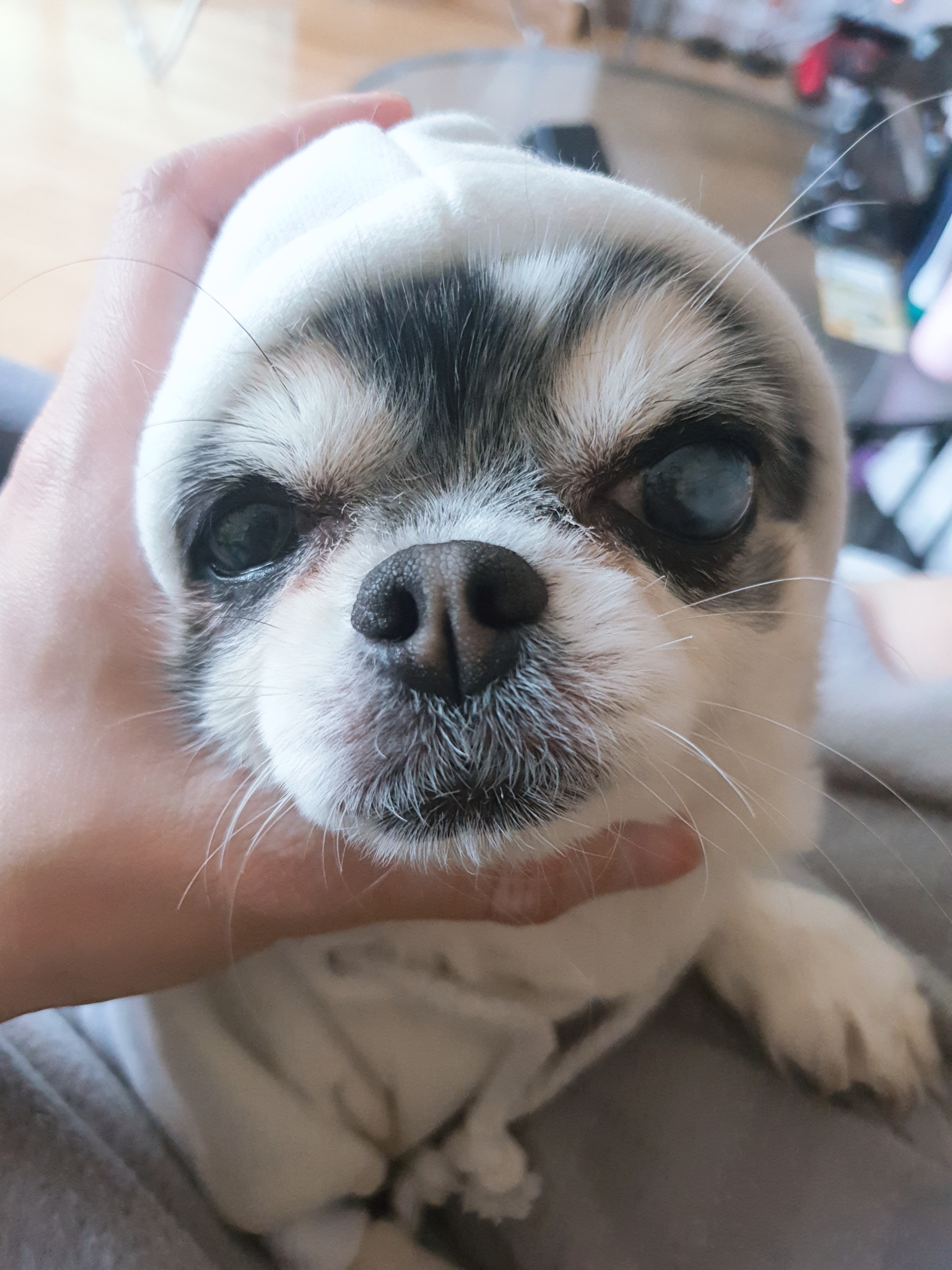 세치 소식 너무 늦게 알려 드리네요ㅠㅡㅠ