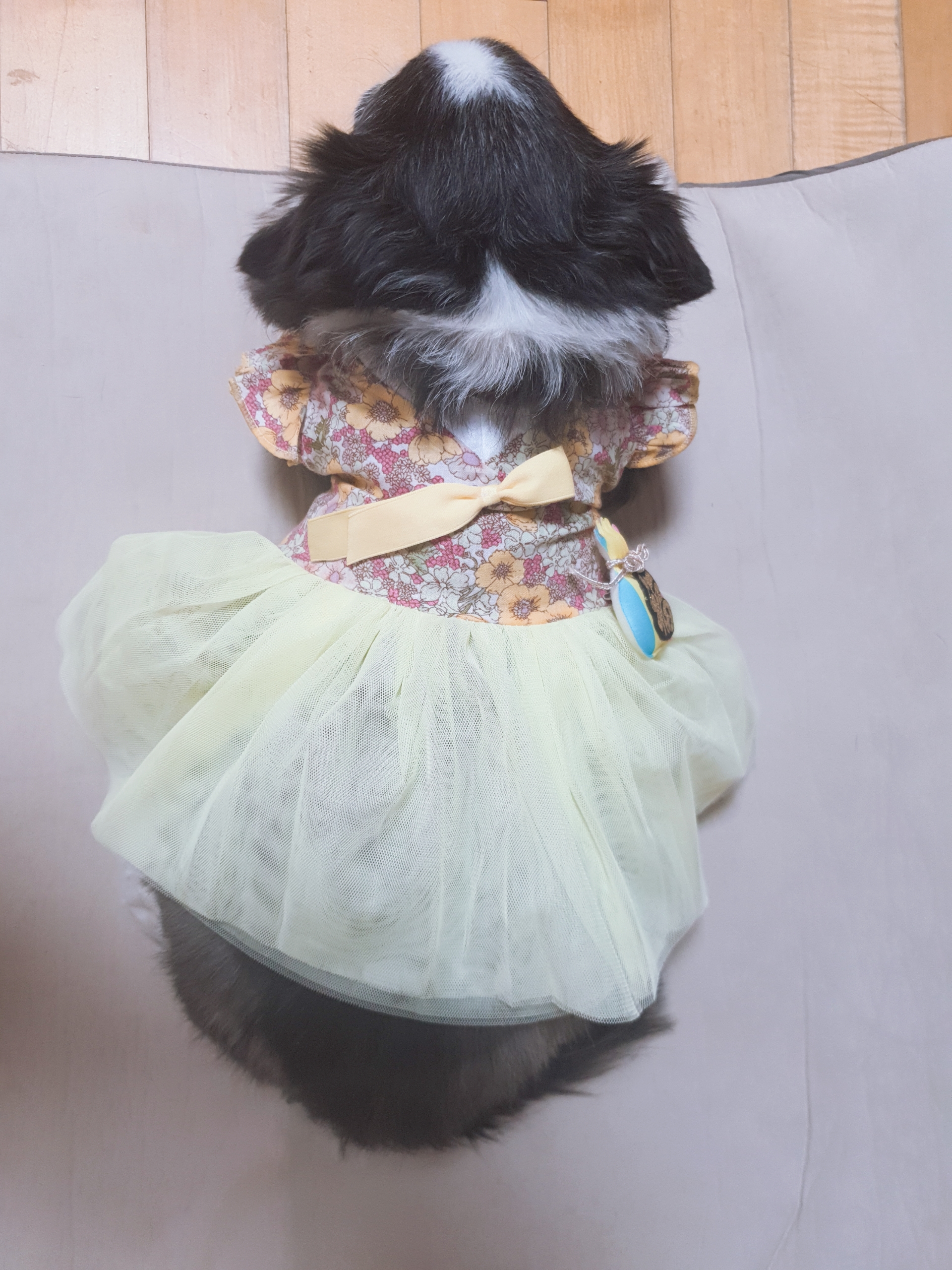 세치 소식 너무 늦게 알려 드리네요ㅠㅡㅠ