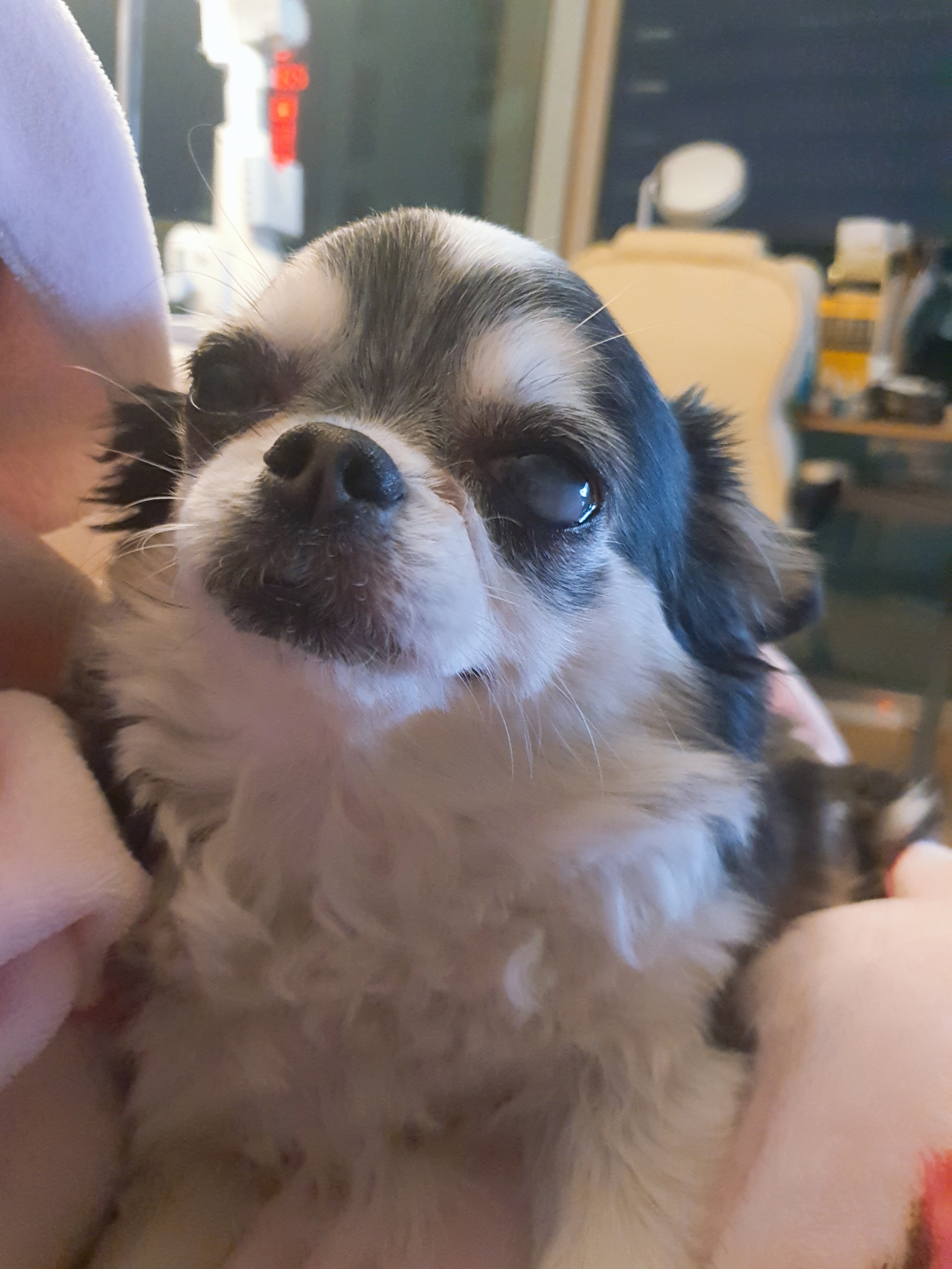 세치 소식 너무 늦게 알려 드리네요ㅠㅡㅠ