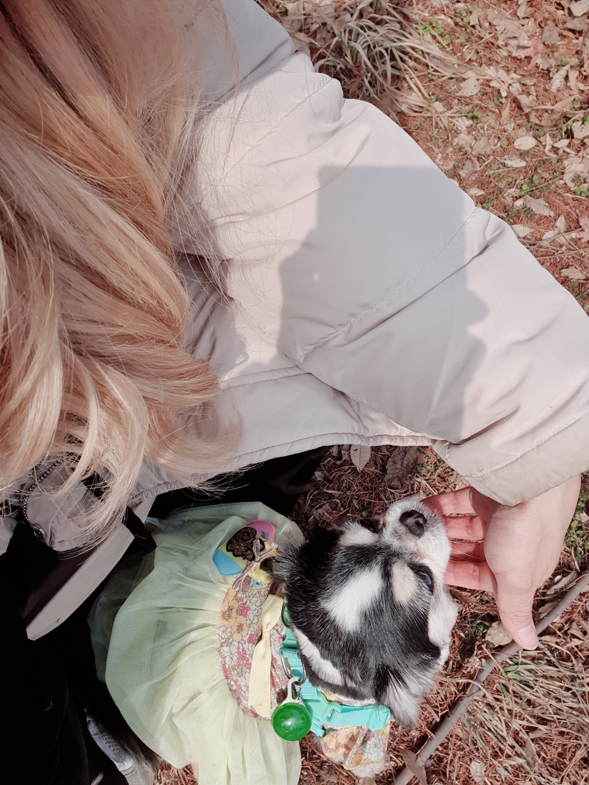 세치 소식 너무 늦게 알려 드리네요ㅠㅡㅠ