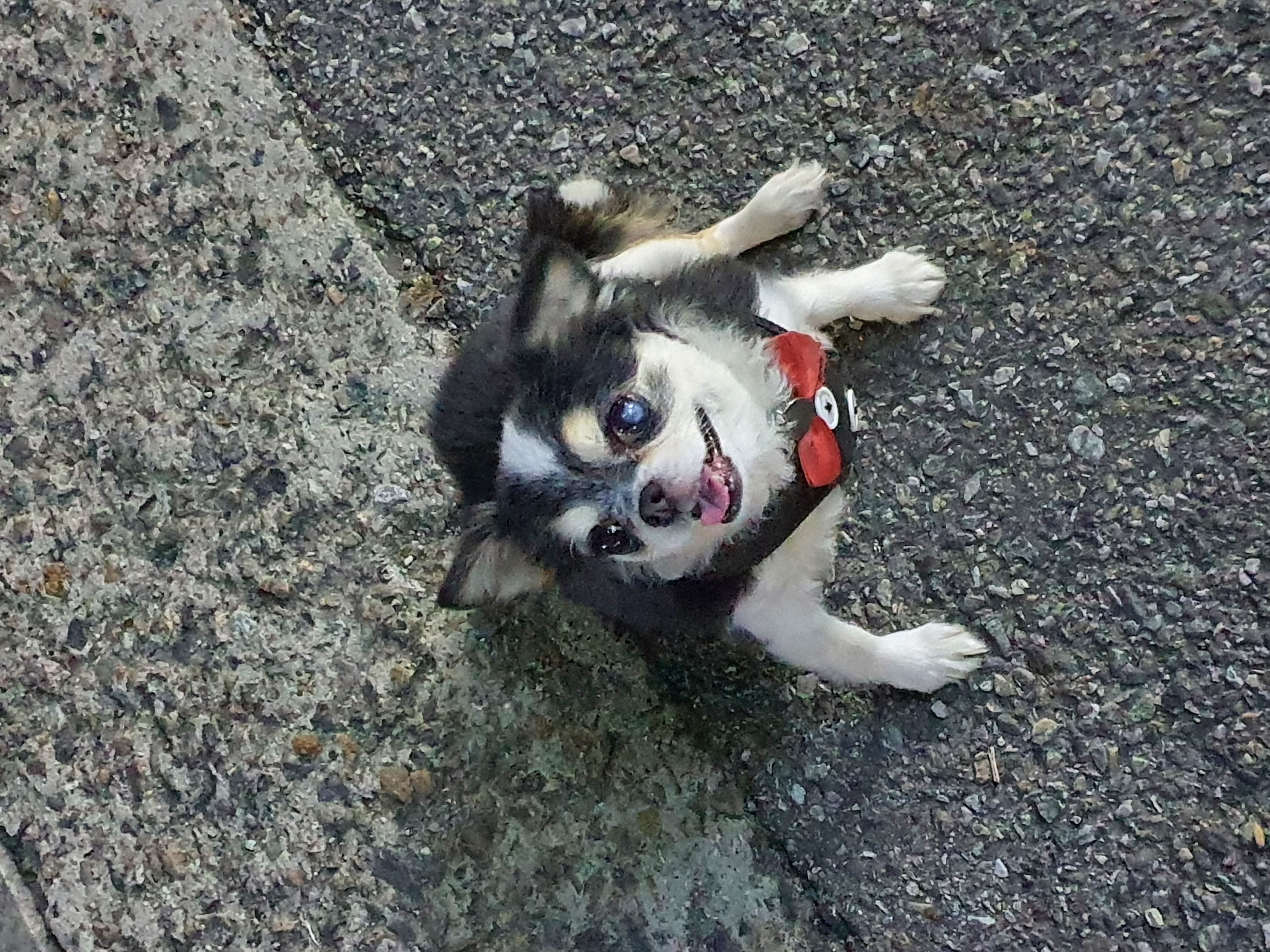 세치 소식 너무 늦게 알려 드리네요ㅠㅡㅠ