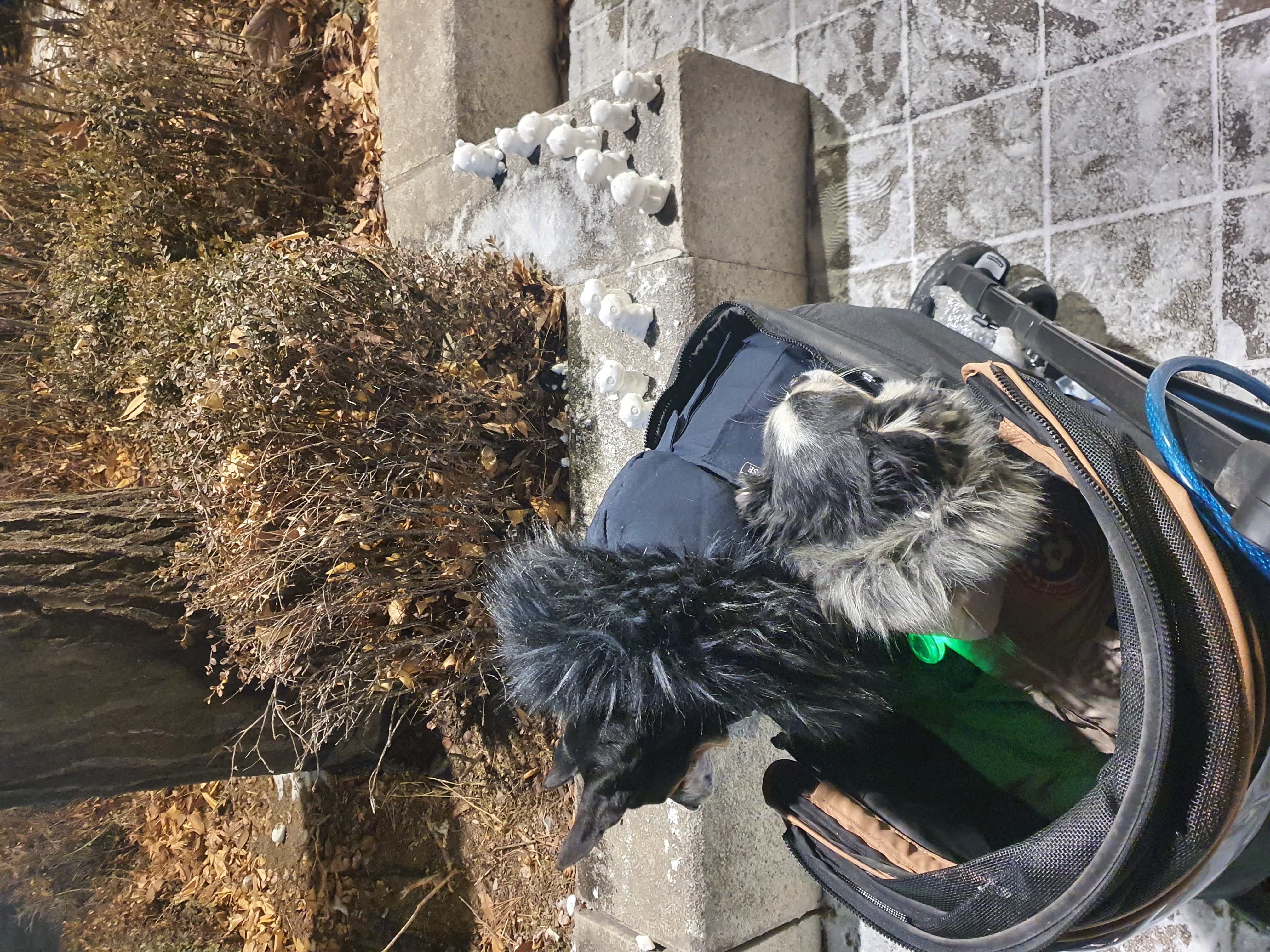 세치 소식 너무 늦게 알려 드리네요ㅠㅡㅠ