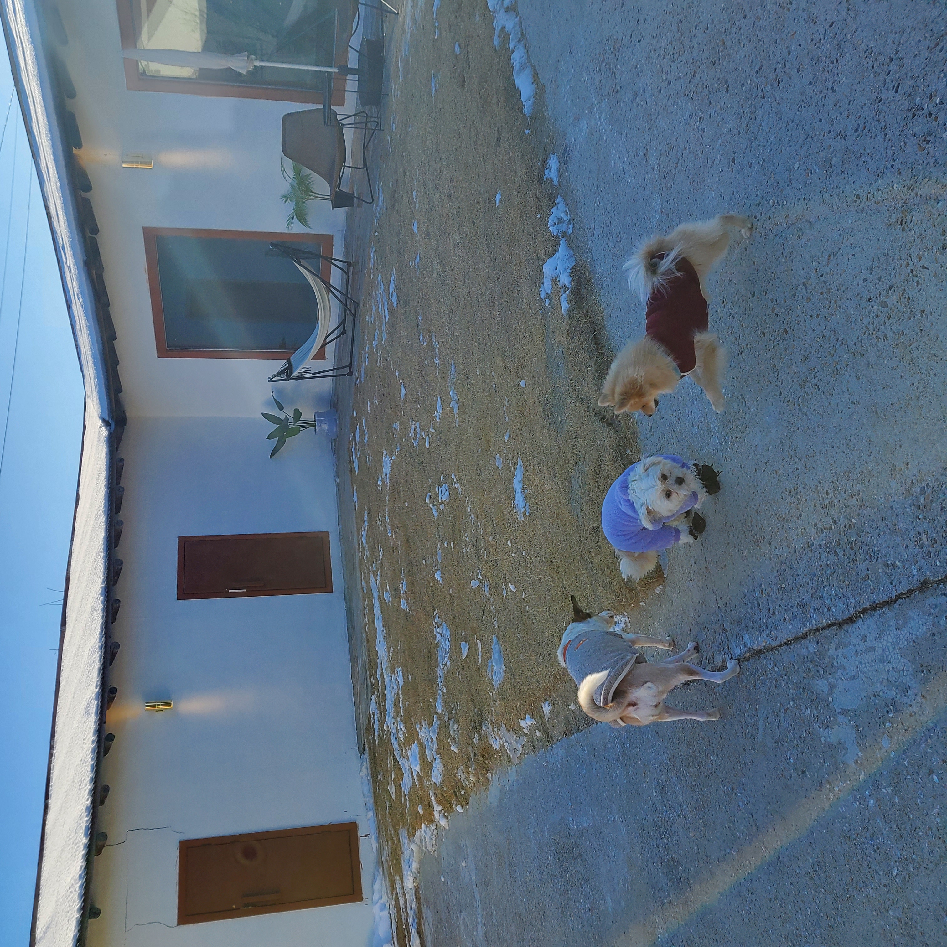 금돌이 1년이 지났네요^^