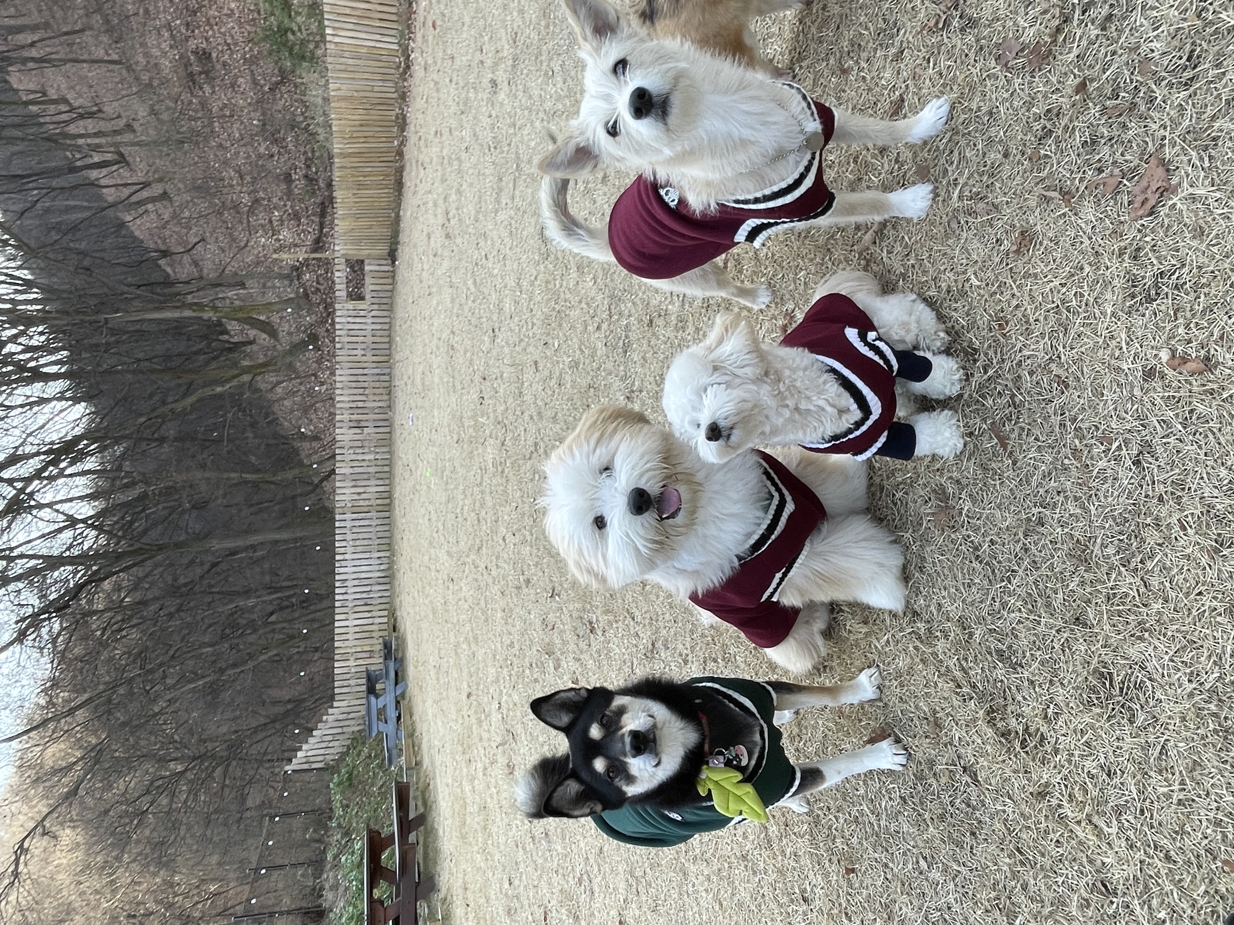 미루(구 마노) 1년 후기