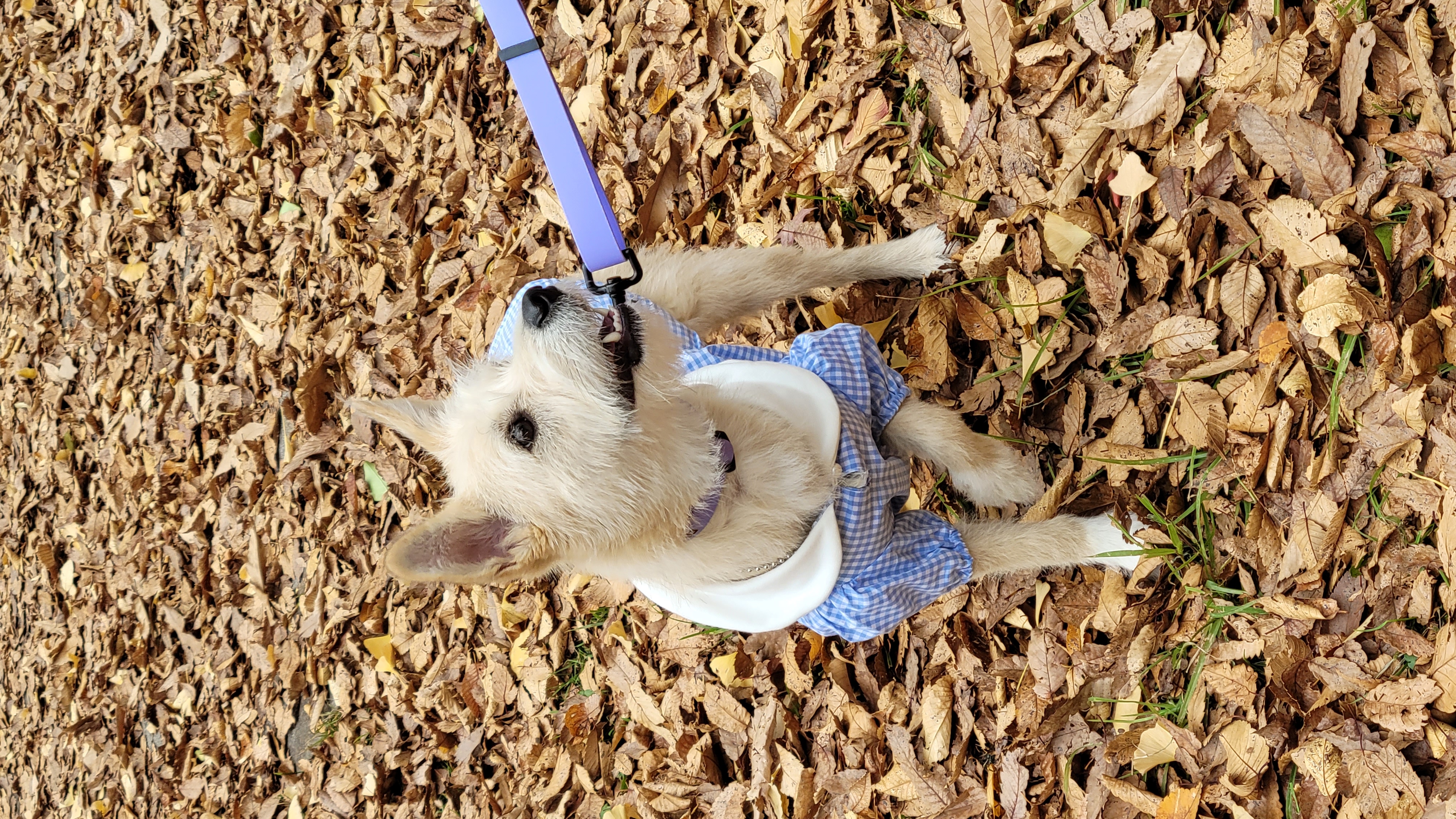 미루(구 마노) 1년 후기