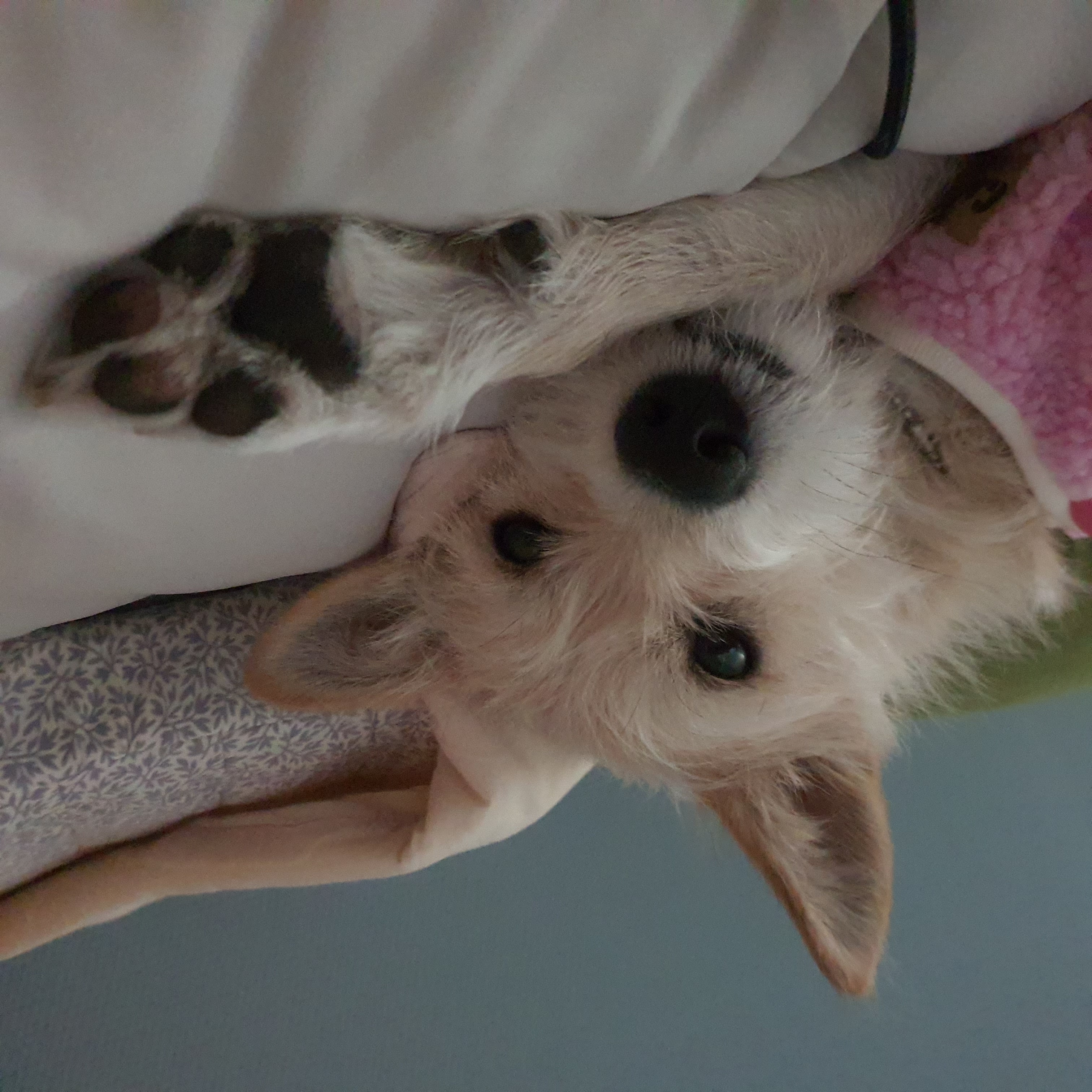 미루(구 마노) 1년 후기