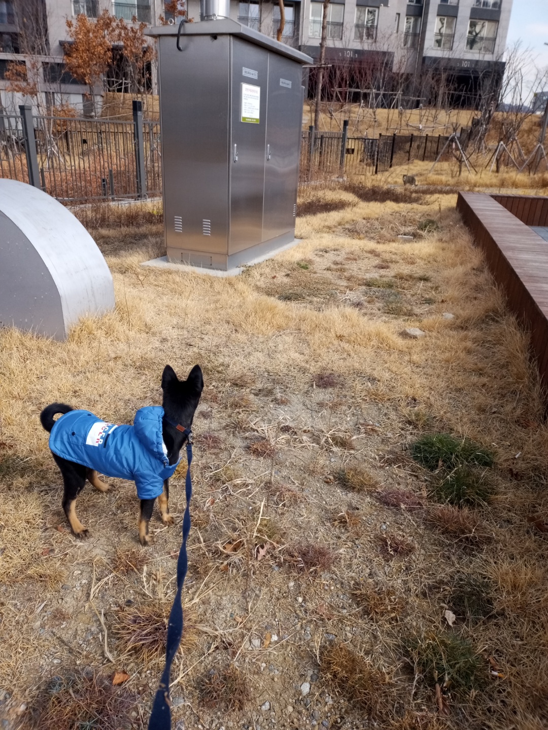 고미가 된 곰곰 두번째이야기