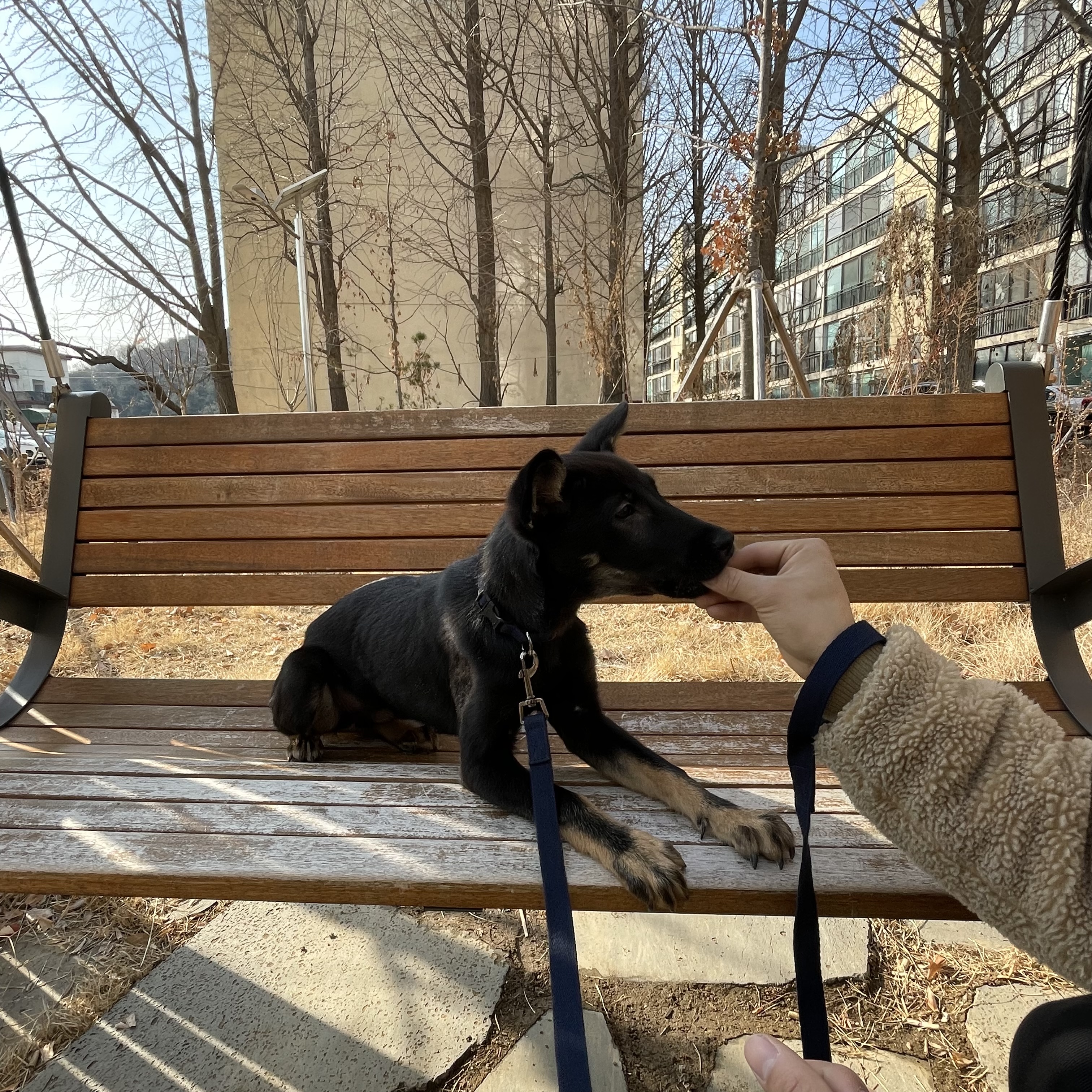 고미가 된 곰곰 두번째이야기