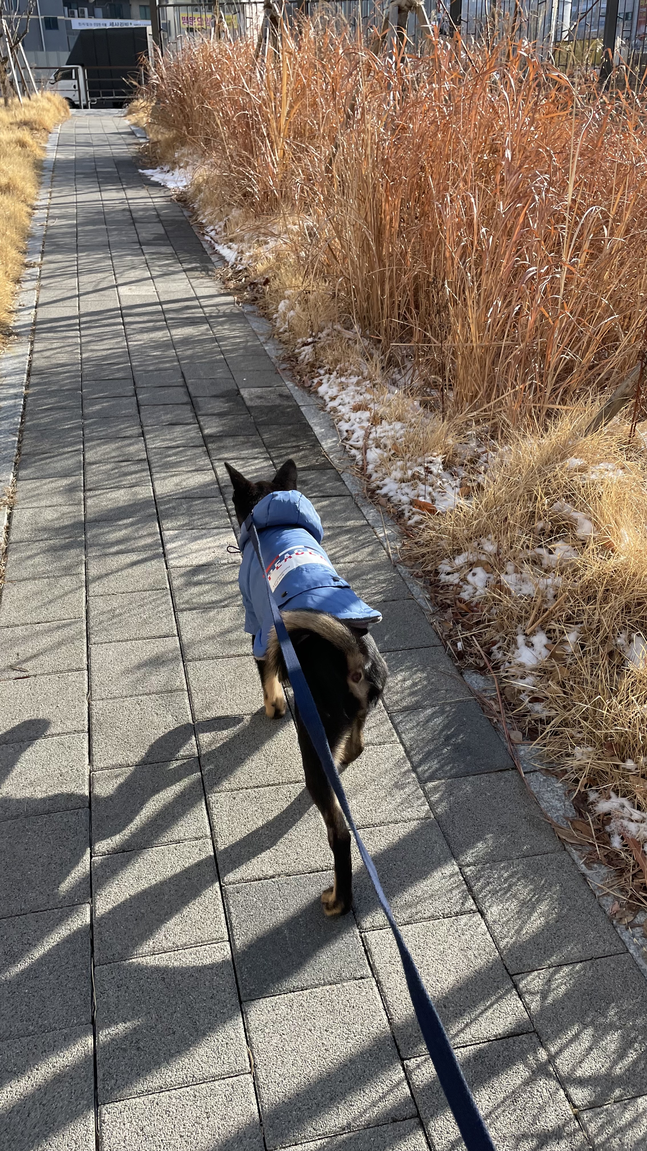 고미가 된 곰곰 두번째이야기