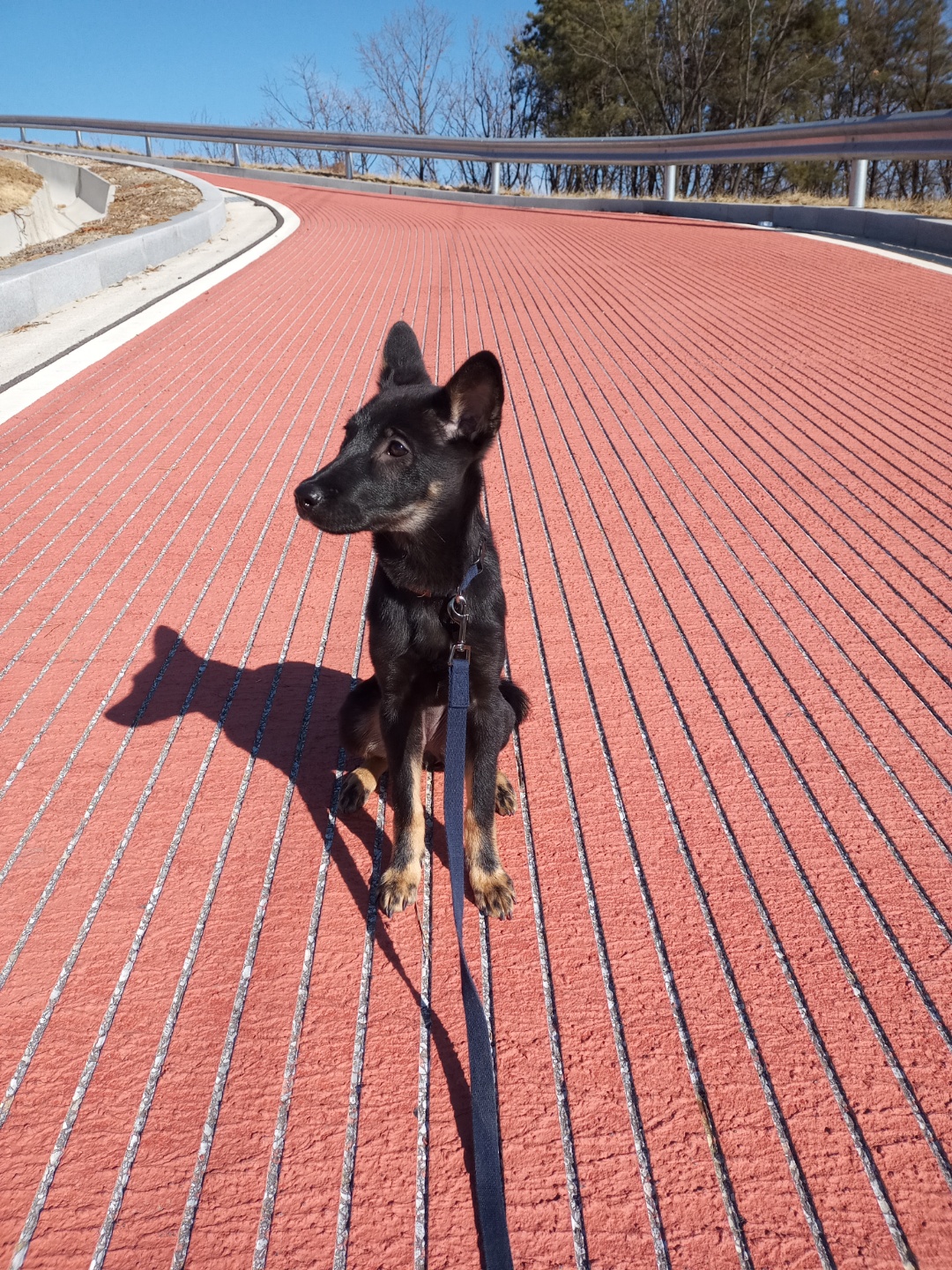 고미가 된 곰곰 두번째이야기