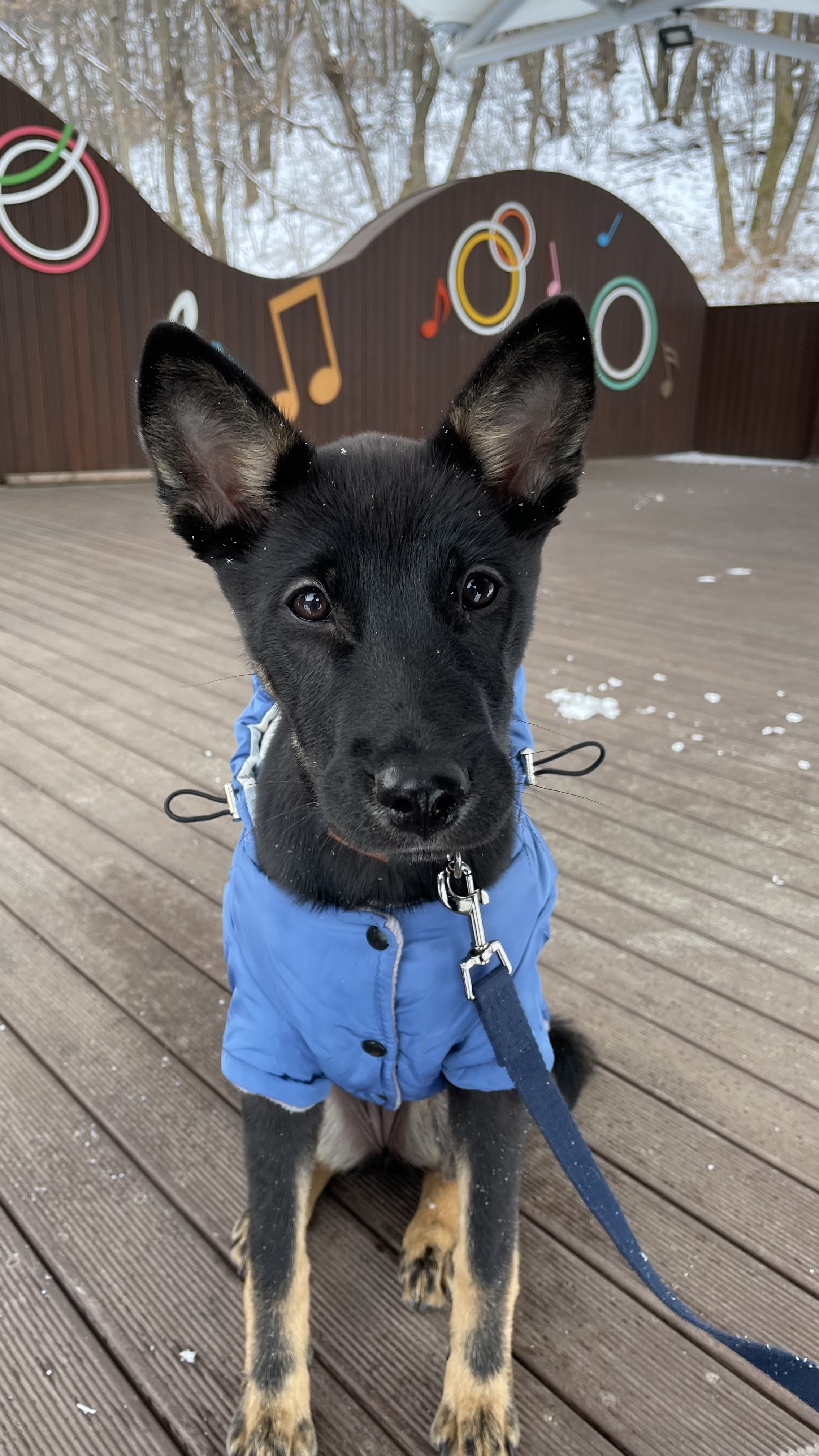 고미가 된 곰곰 두번째이야기