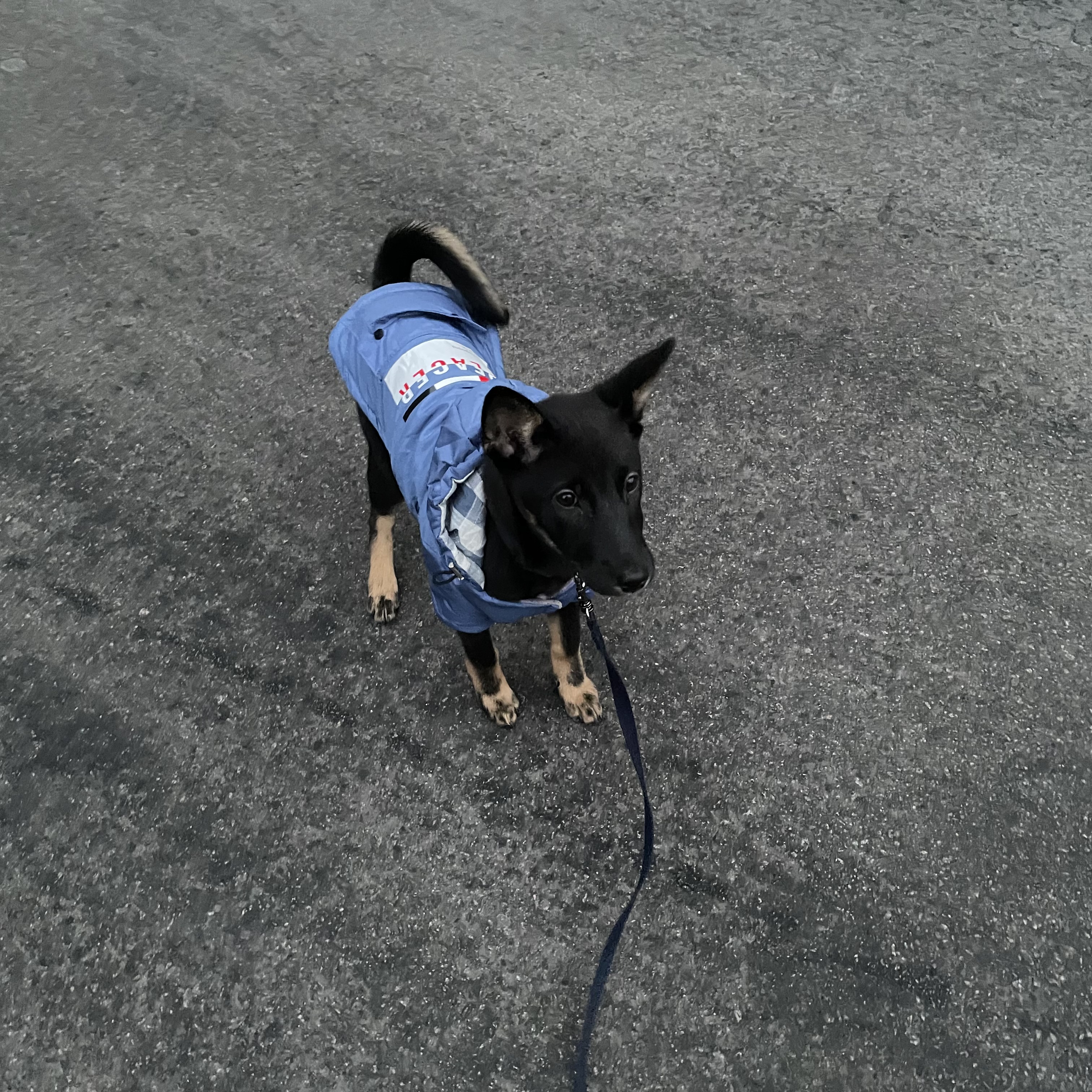 고미가 된 곰곰 두번째이야기