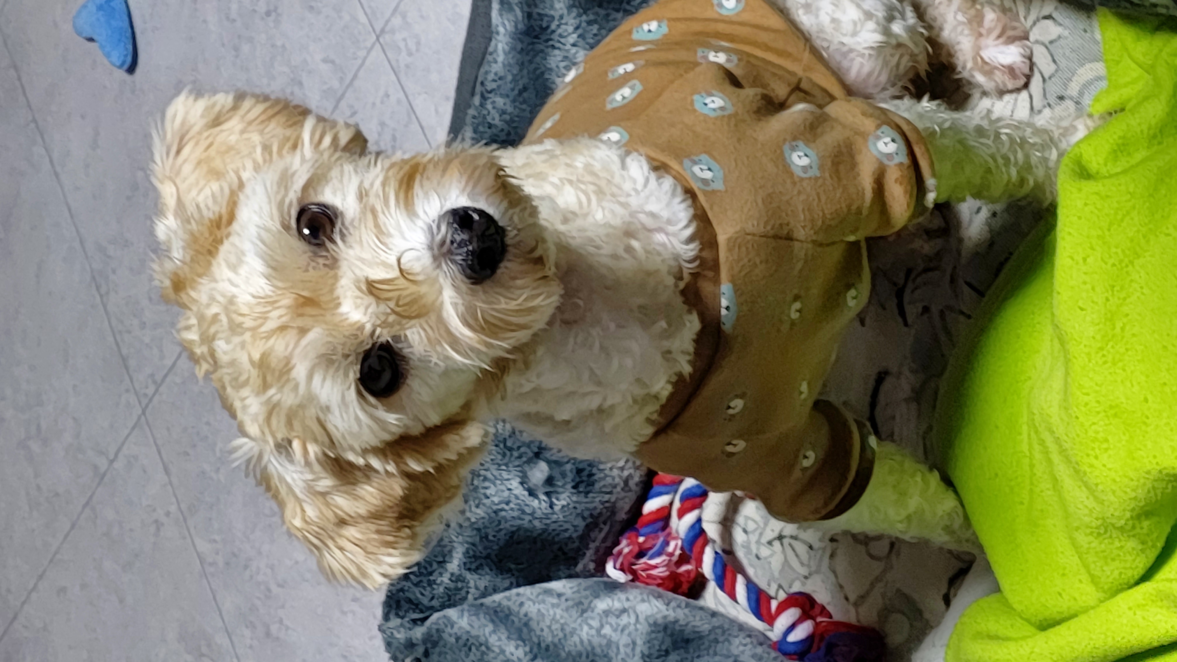 금동(은돌)~ 벌써 1년^^