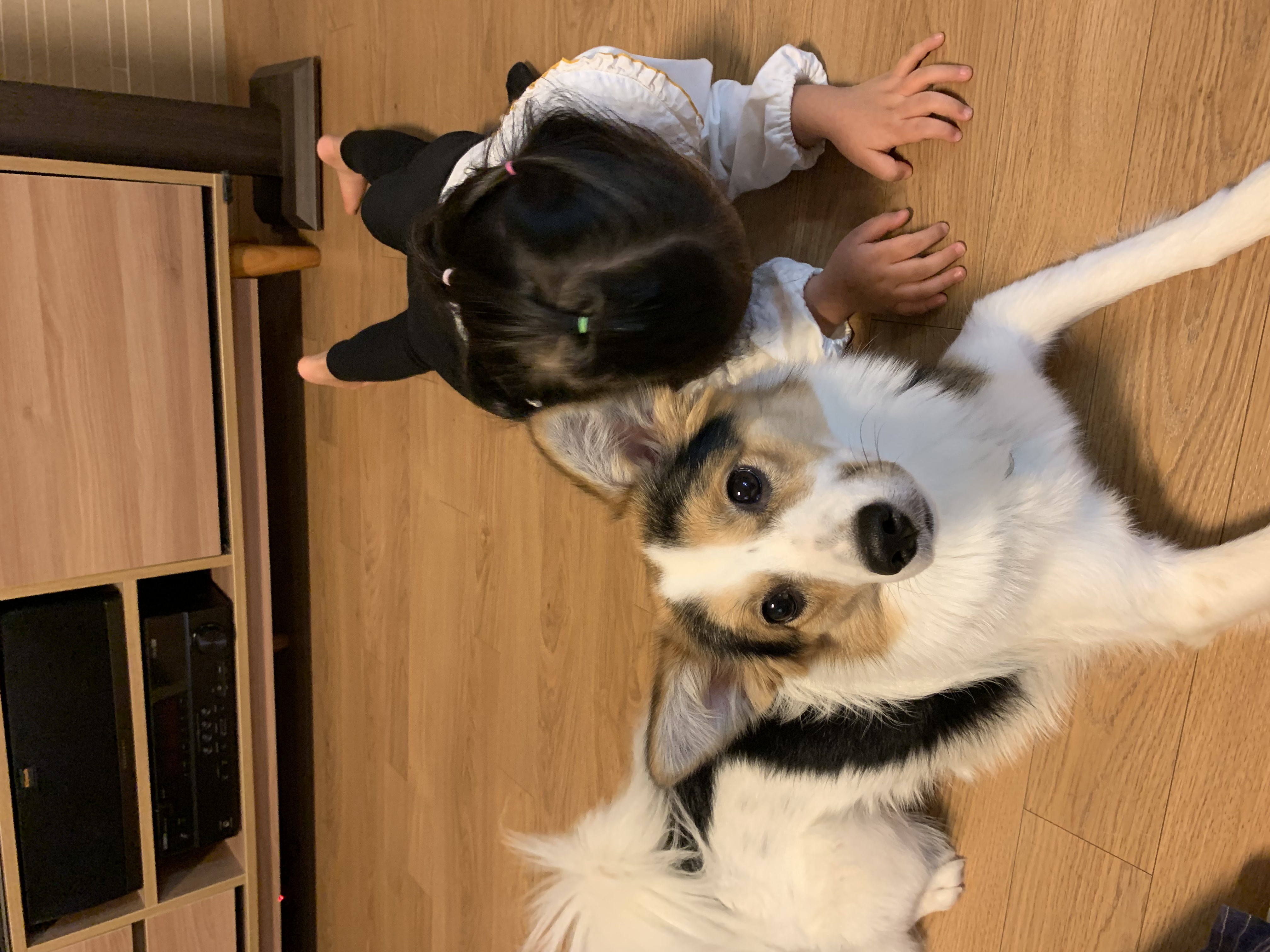 마블이 입양 후 1년 후기