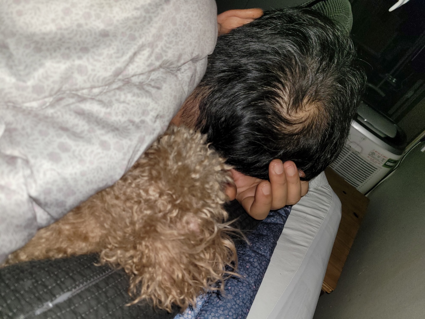 쵸파 입양후기~~ 4년차!