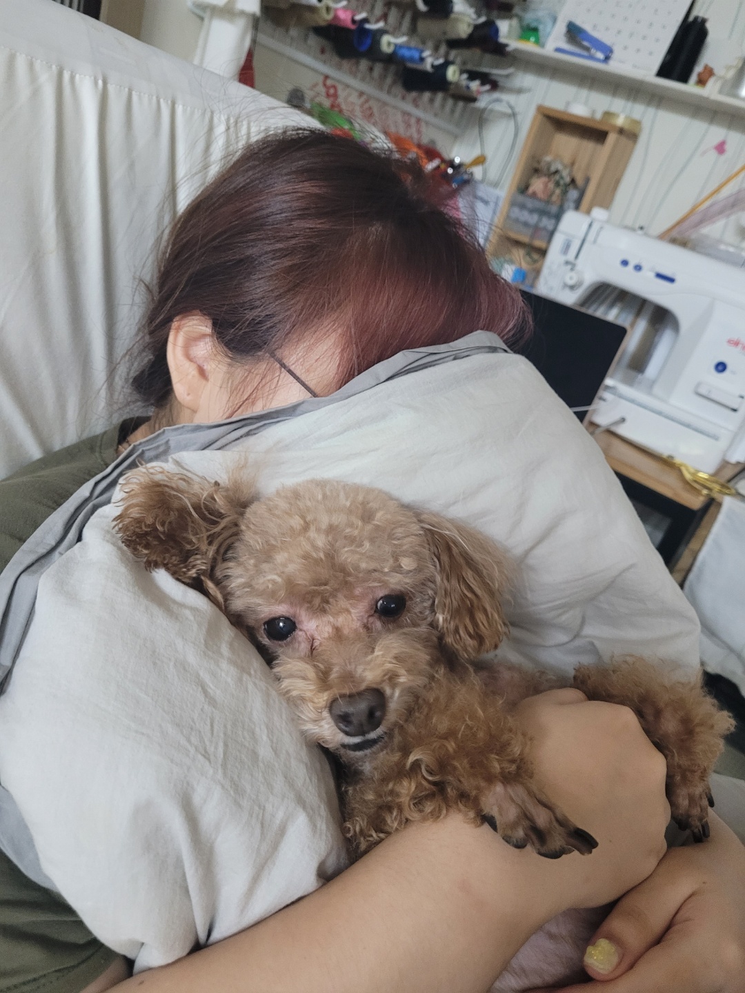 쵸파 입양후기~~ 4년차!