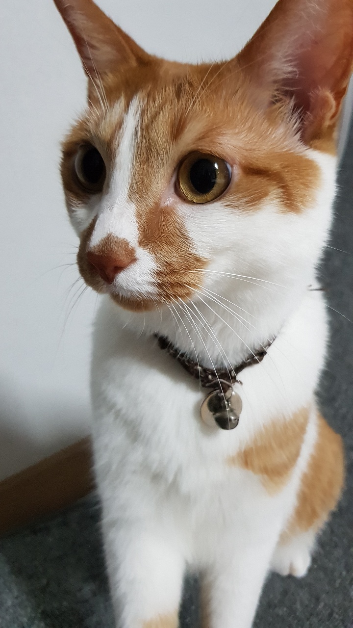 다빈이 올해로 6살