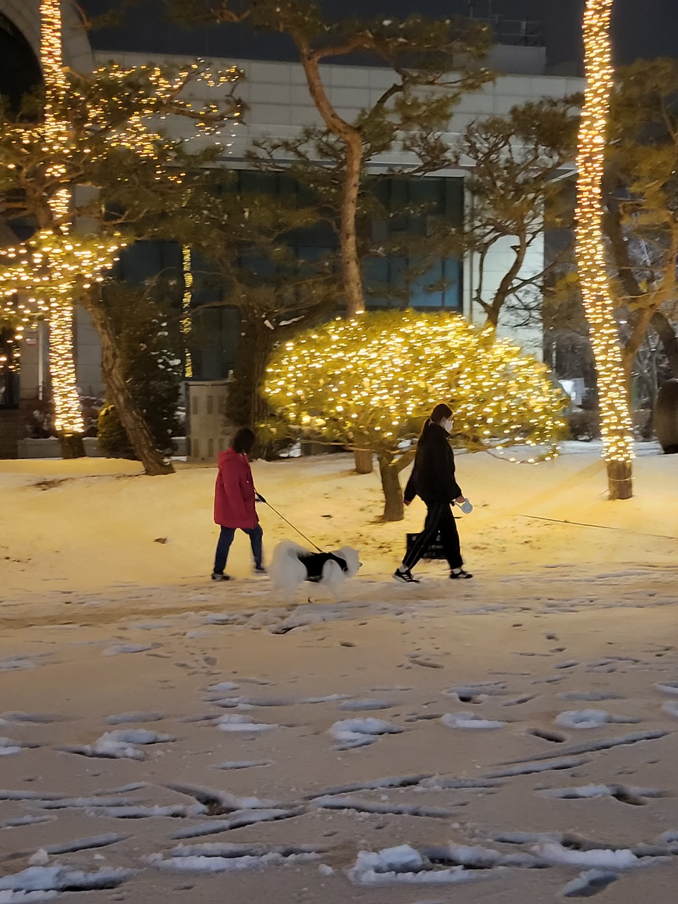 사루(천호) 벌써 5년