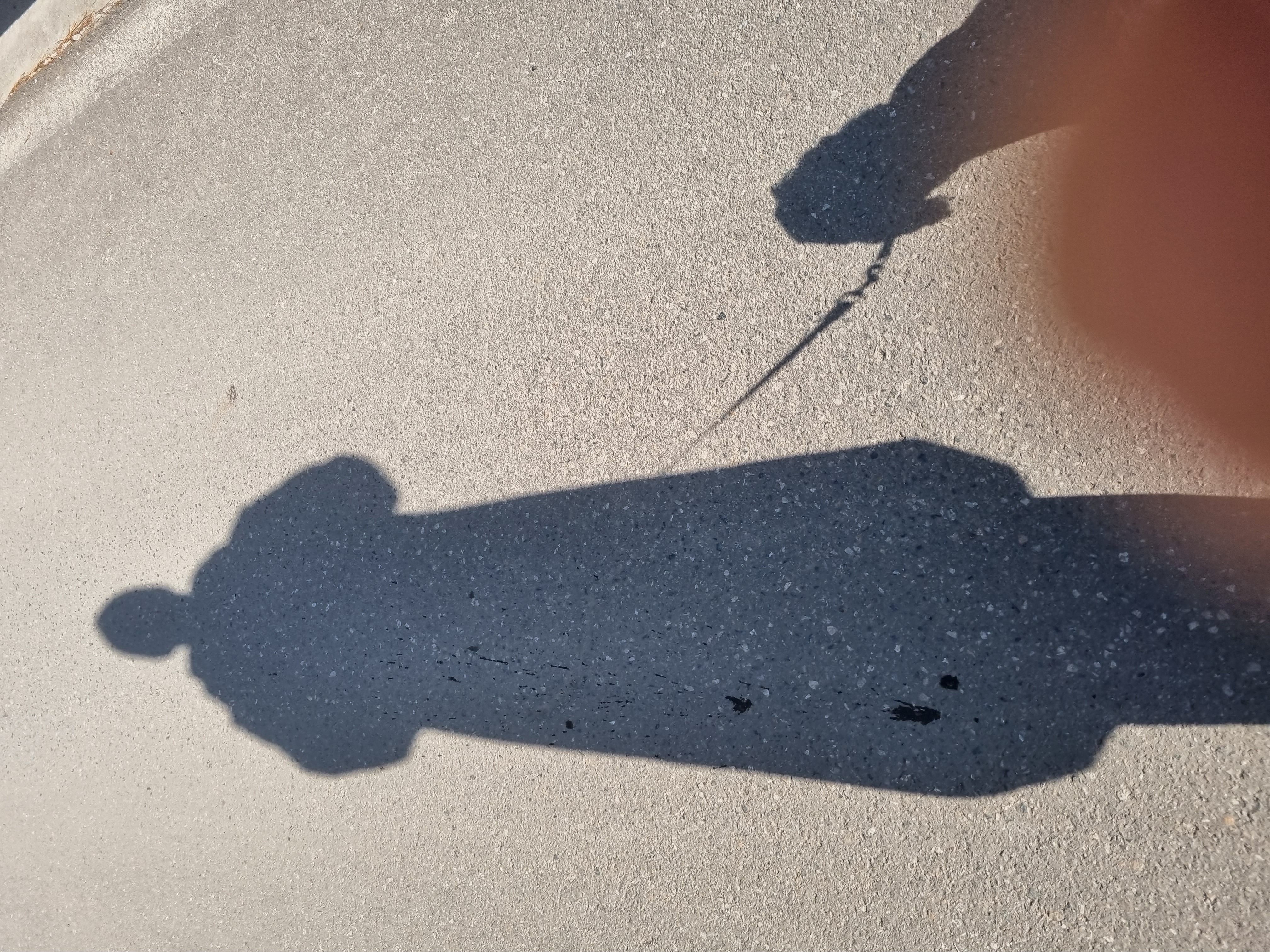 포동이와 그림자 놀이