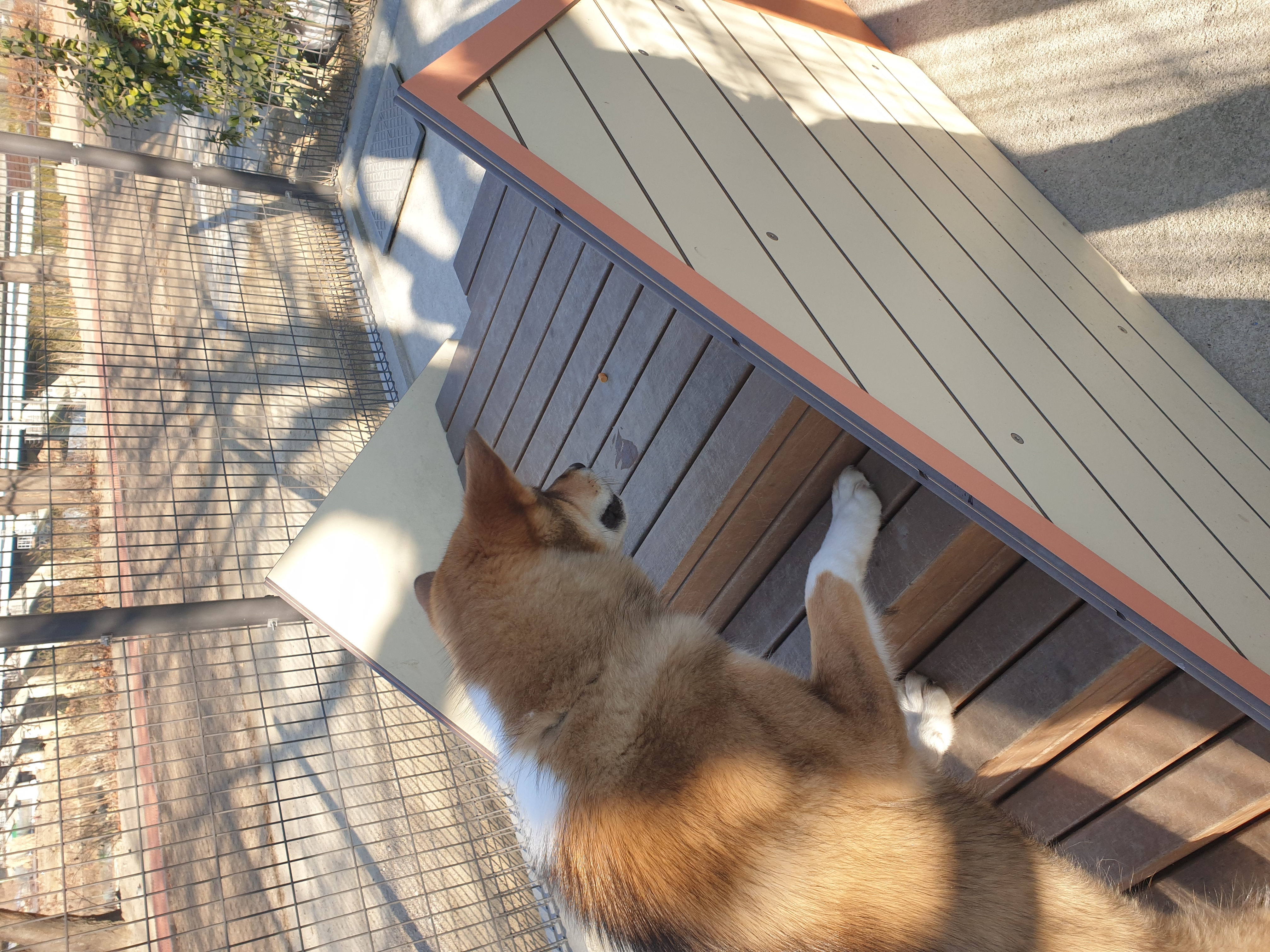 하다네집(한달)