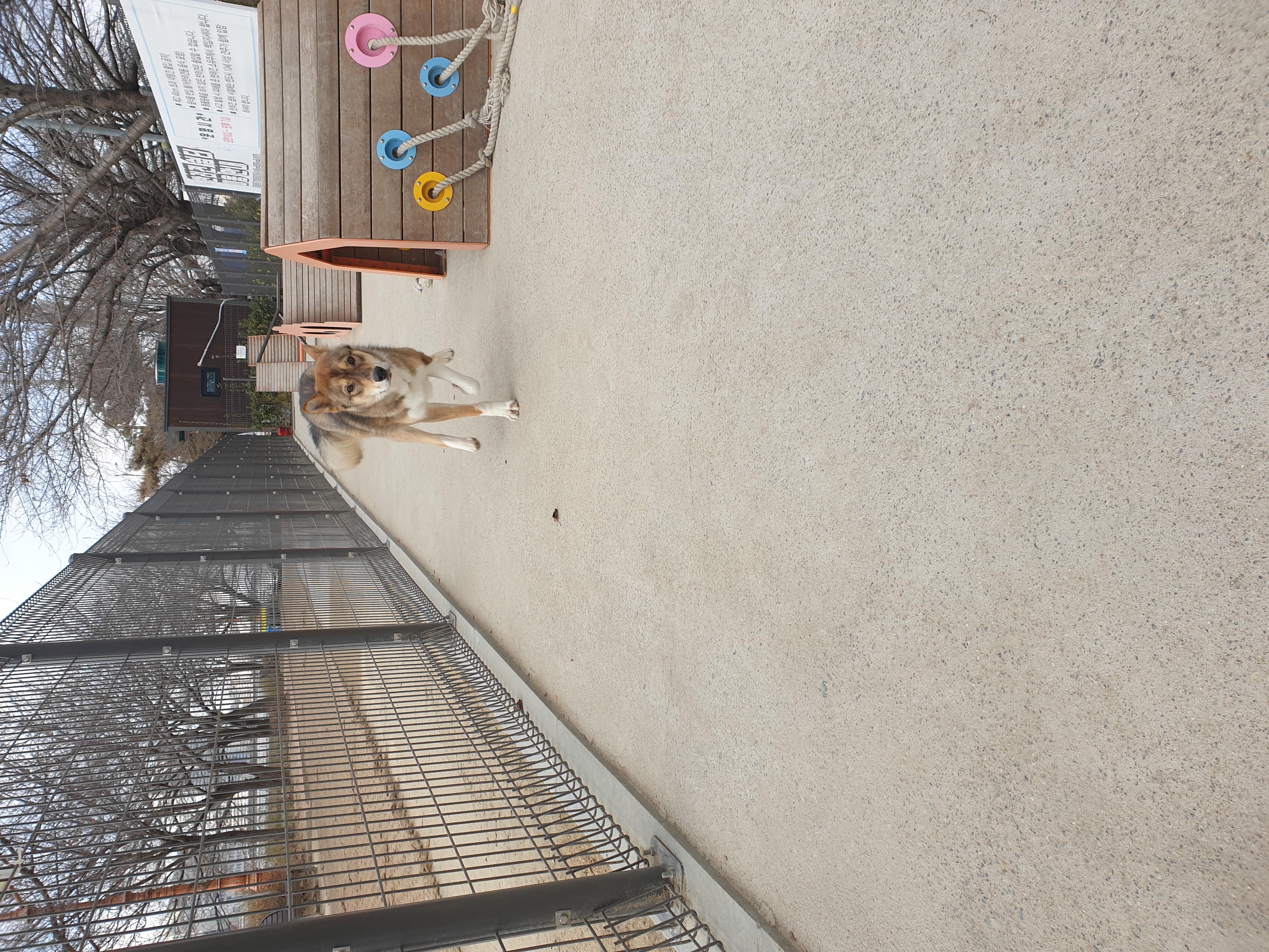 하다네집(한달)