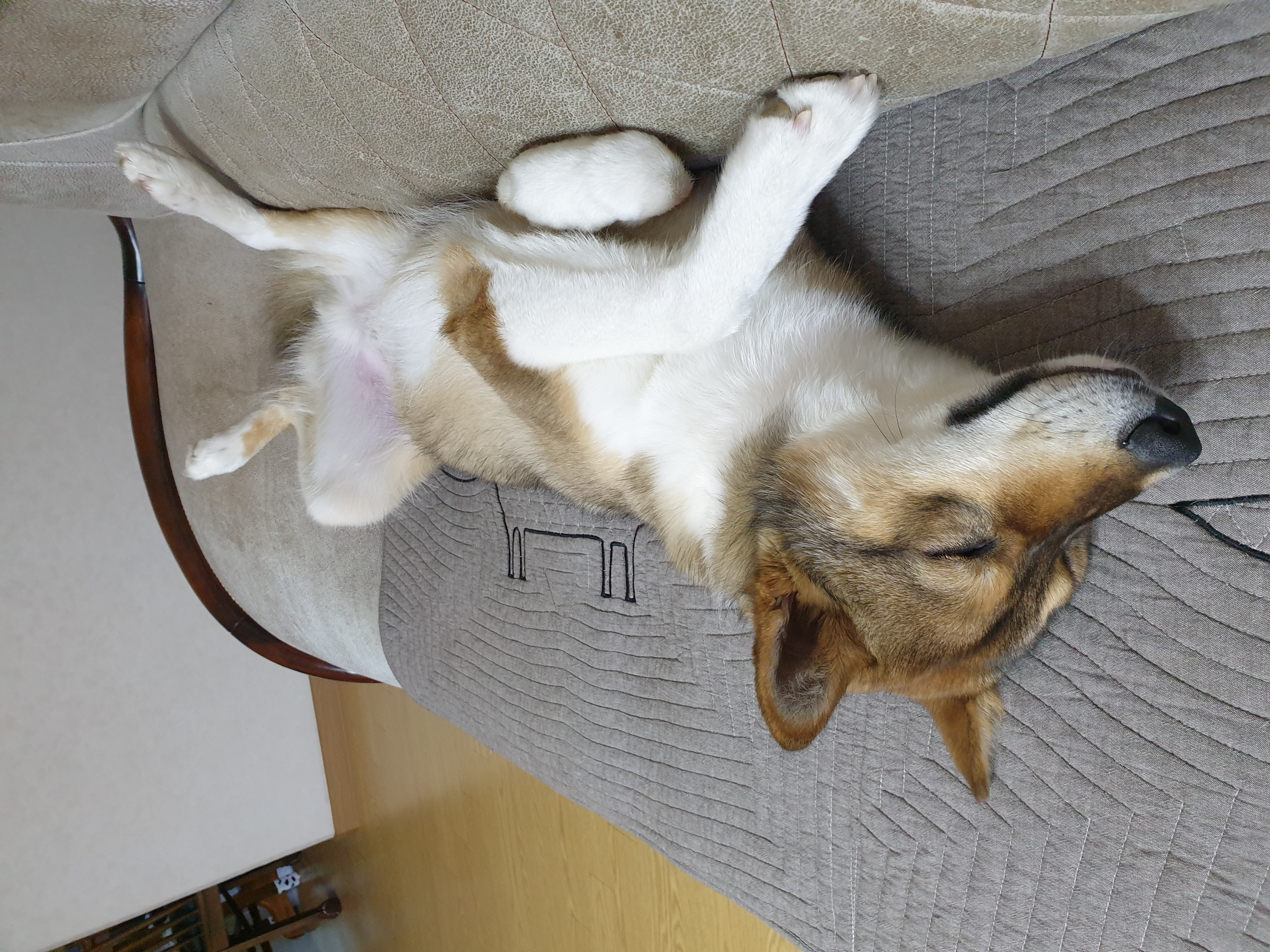 하다네집(한달)