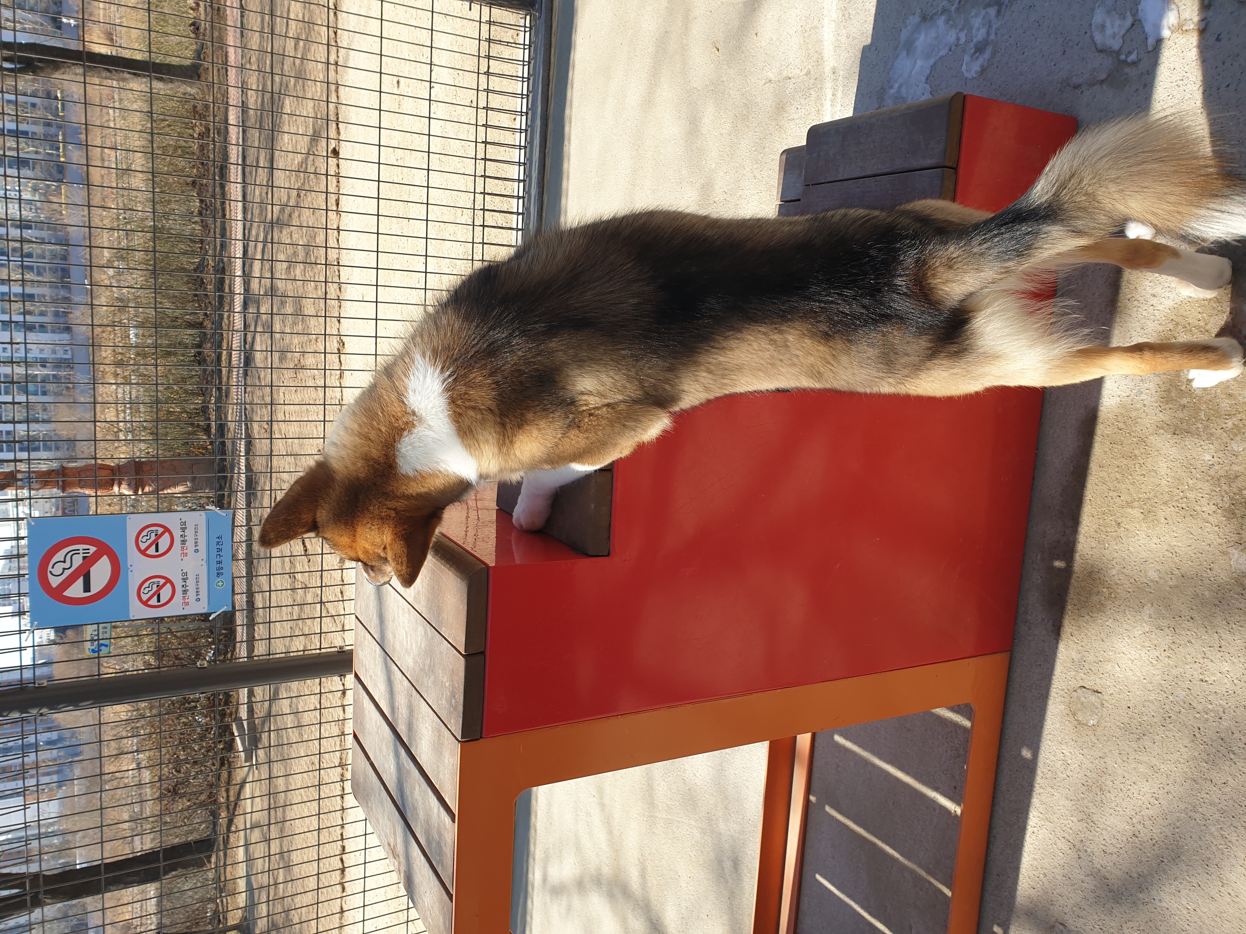 하다네집(한달)