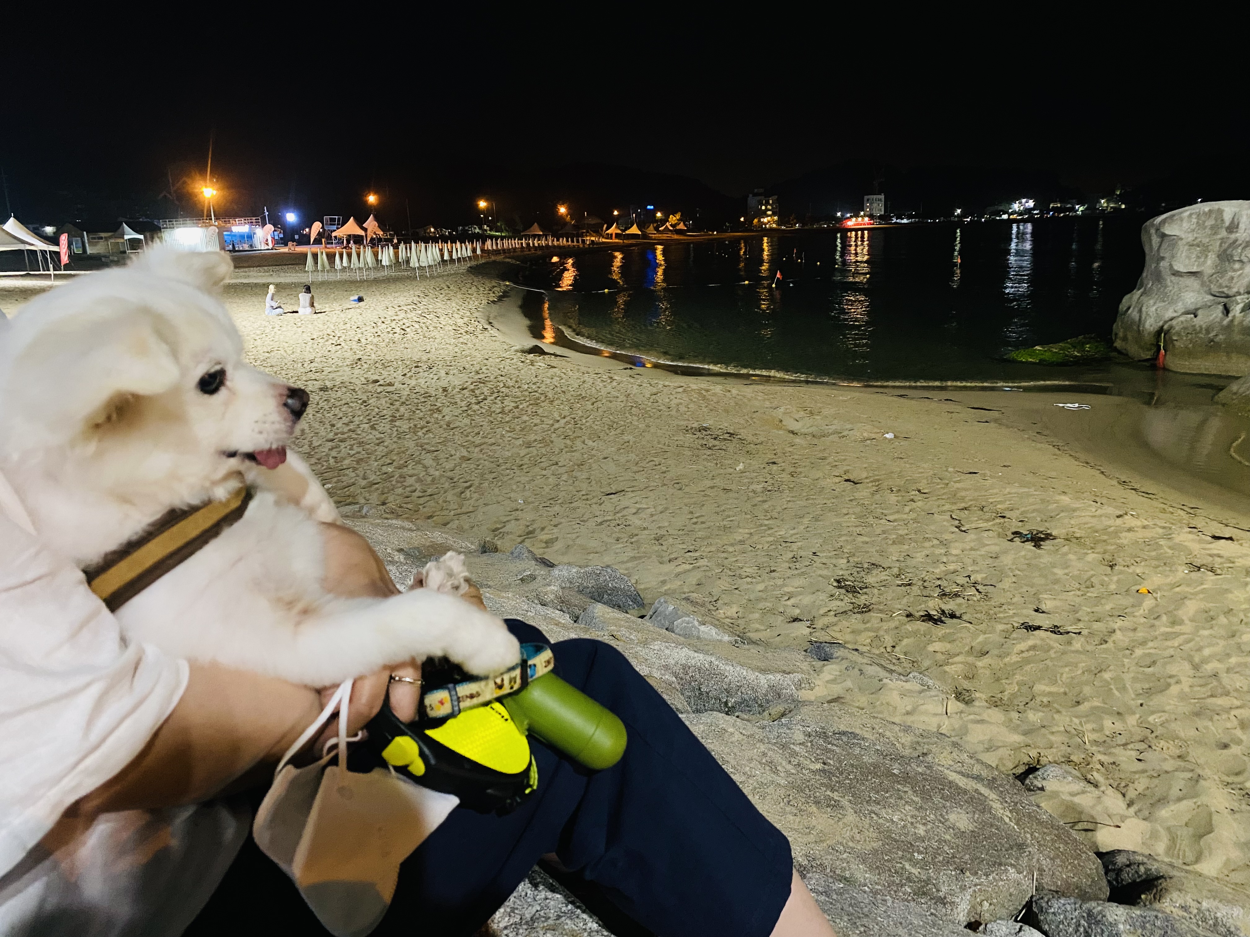 내 나이가 어때서~ 놀러다니기 딱 좋은 나인데! (셔리, 입양 11년차)