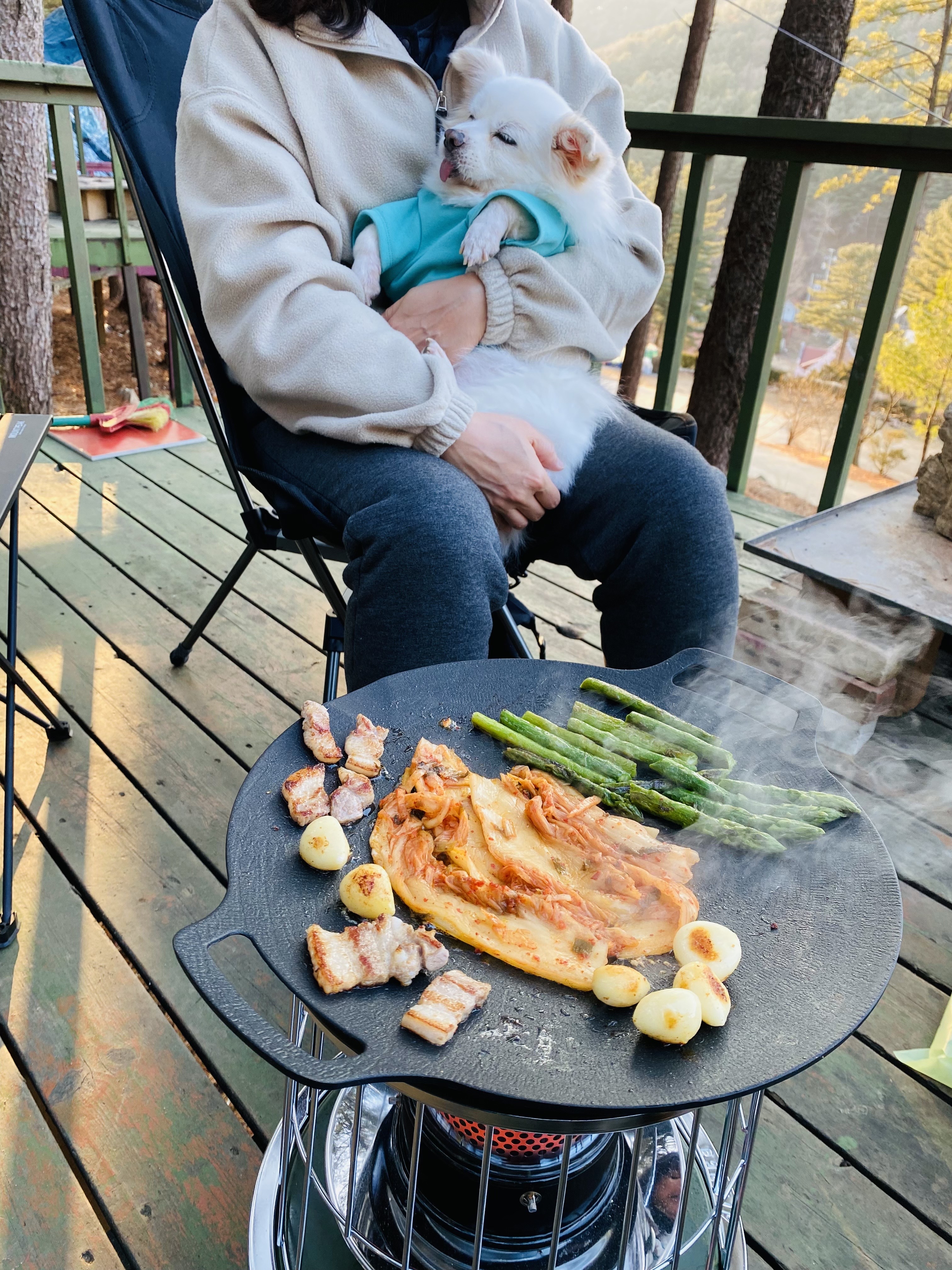 내 나이가 어때서~ 놀러다니기 딱 좋은 나인데! (셔리, 입양 11년차)