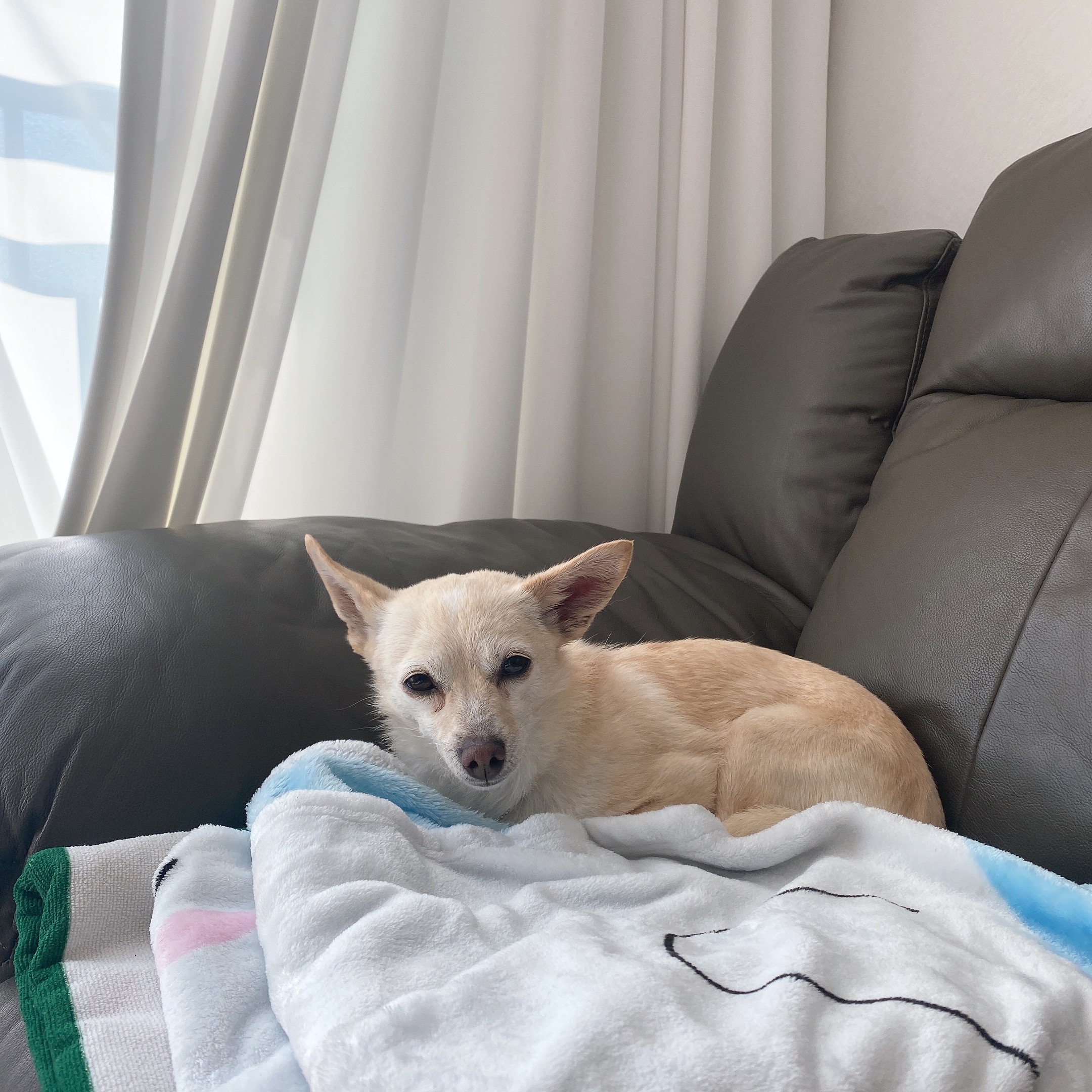 마야 임보 일주일