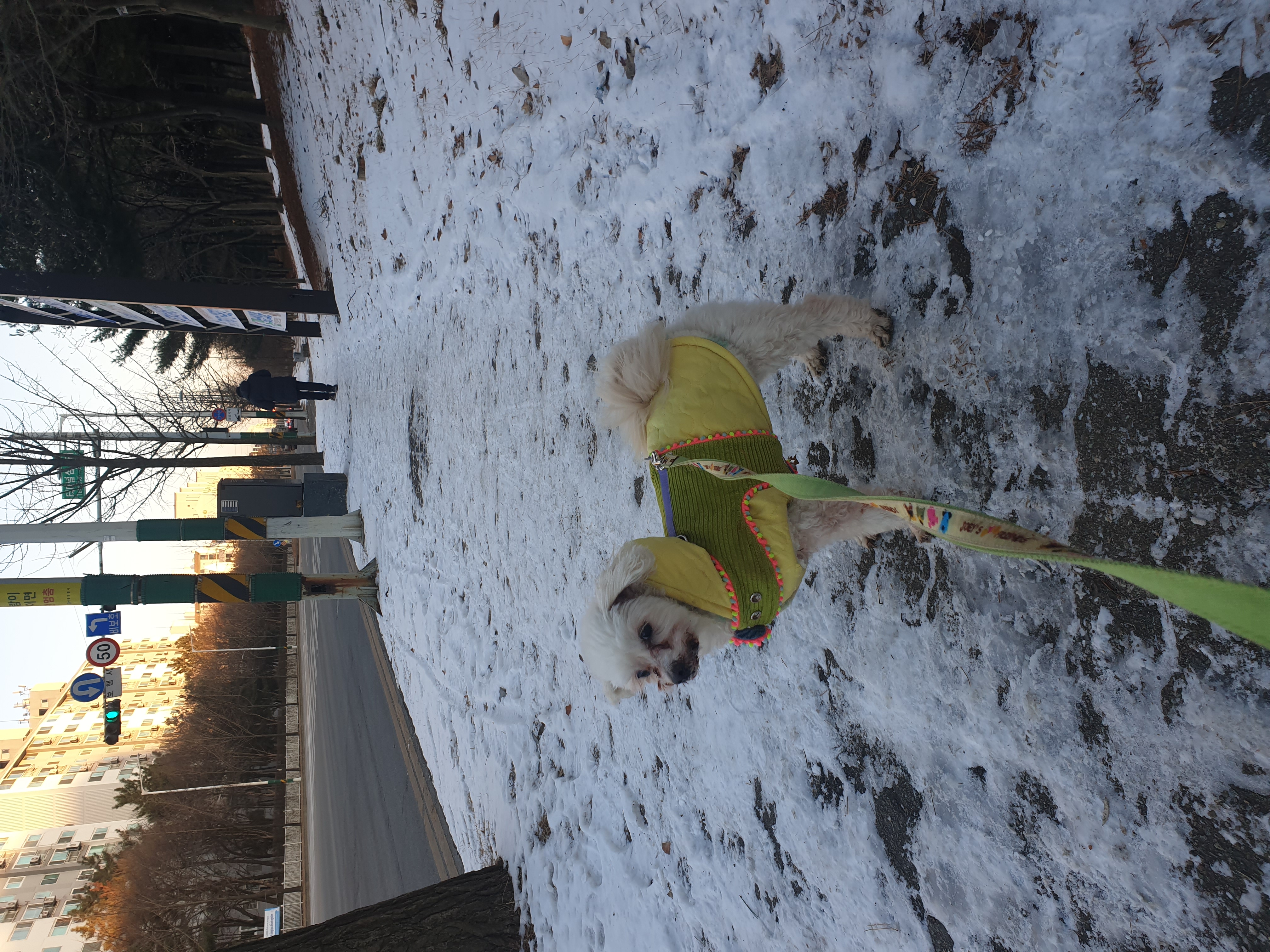 봉봉이와 함께 한지 1년이 되었네요^^