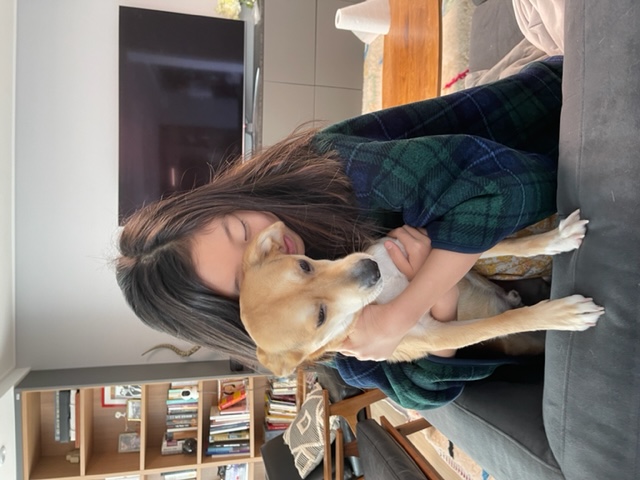 마초 입양 1년 후기 (마무자견)