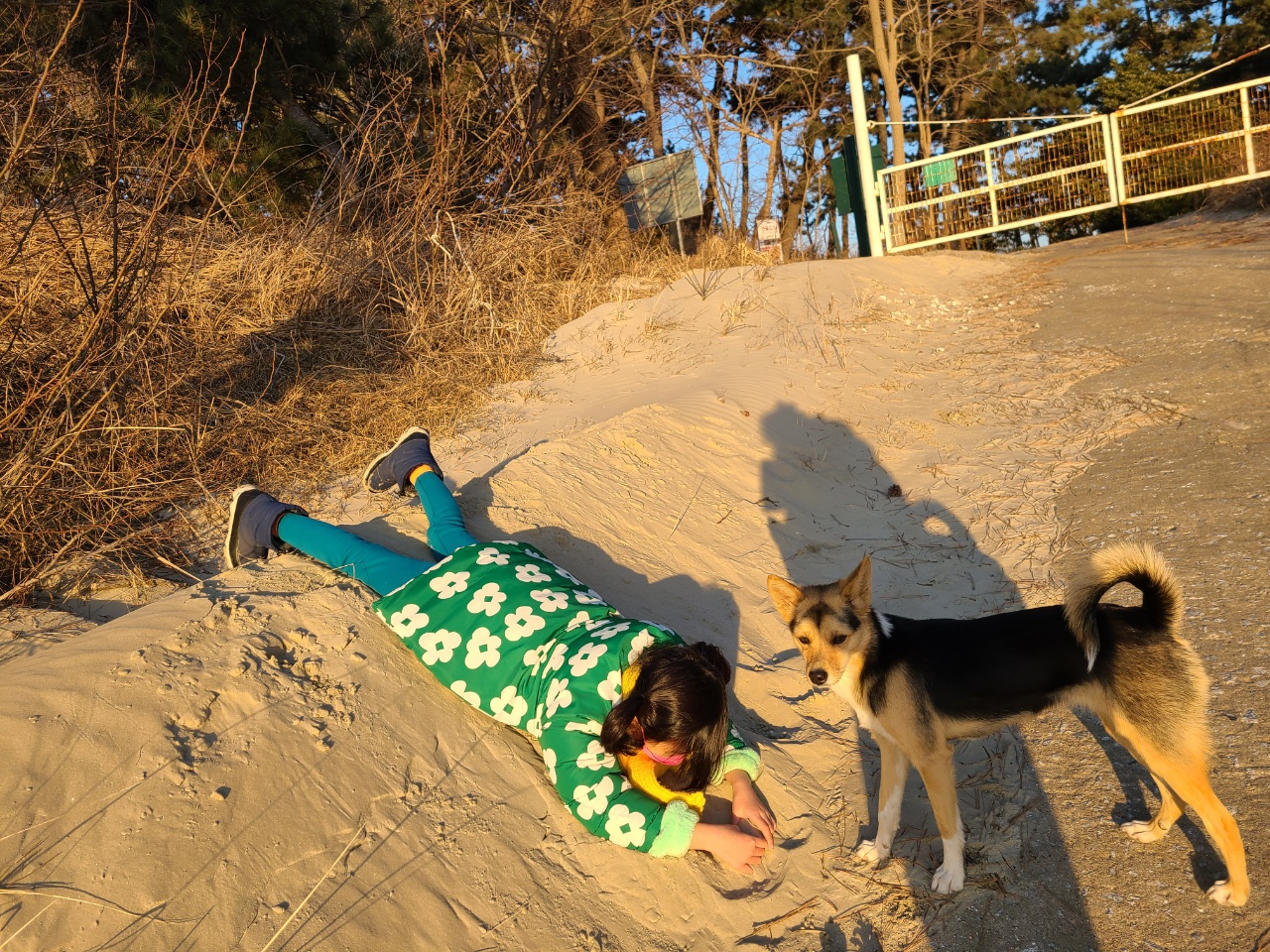 마레의 행복한 전원생활