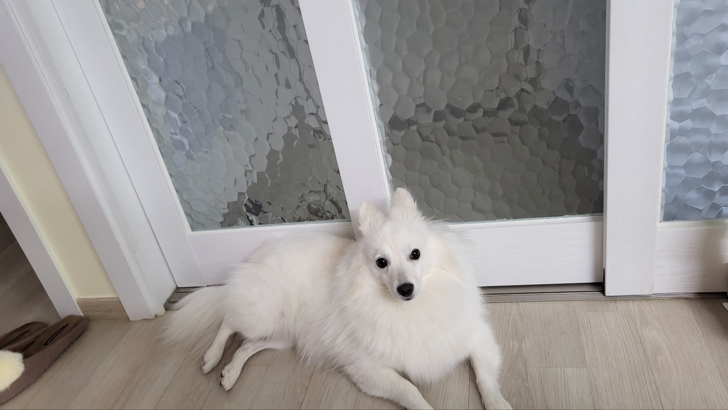 엄마 껌딱지! 휘핑