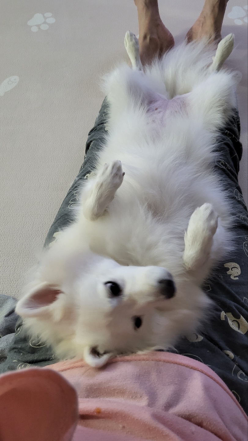 엄마 껌딱지! 휘핑