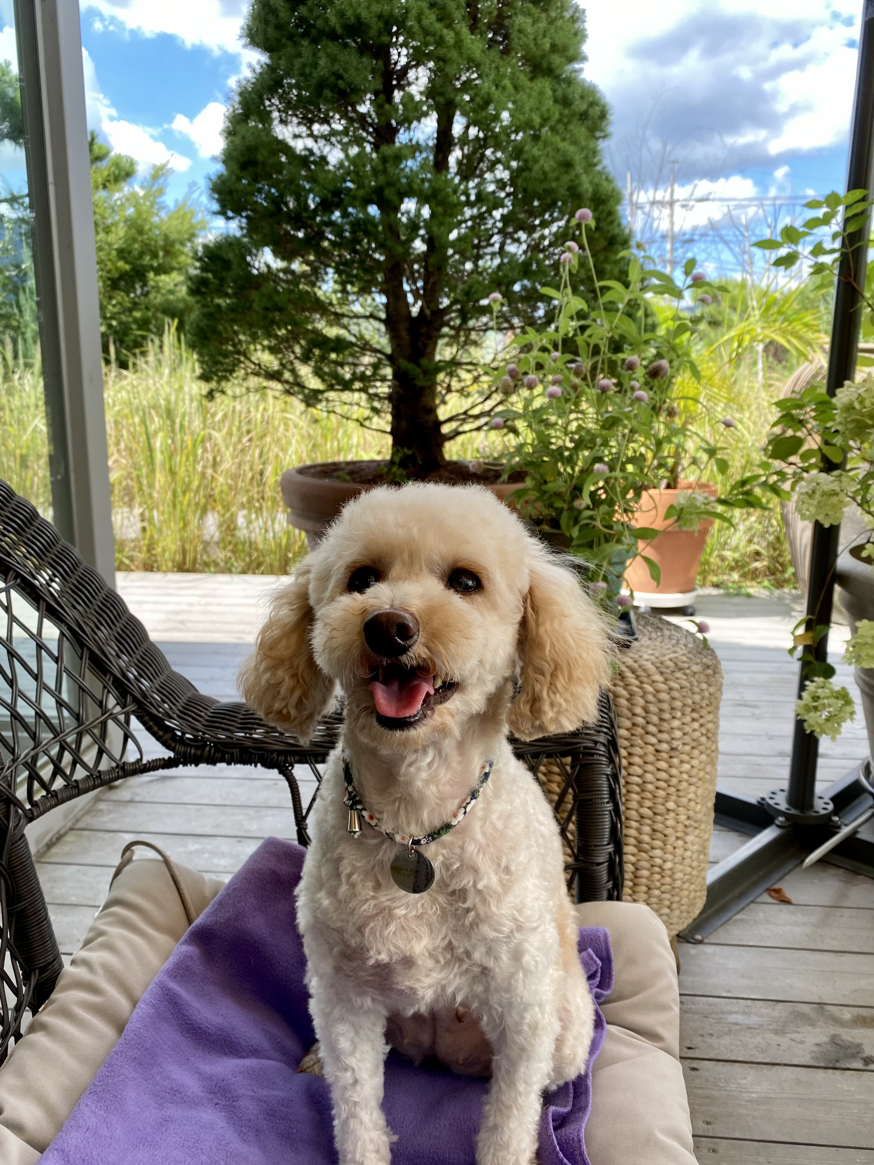 쿠크(곤지암-47) 1년 됐어요~