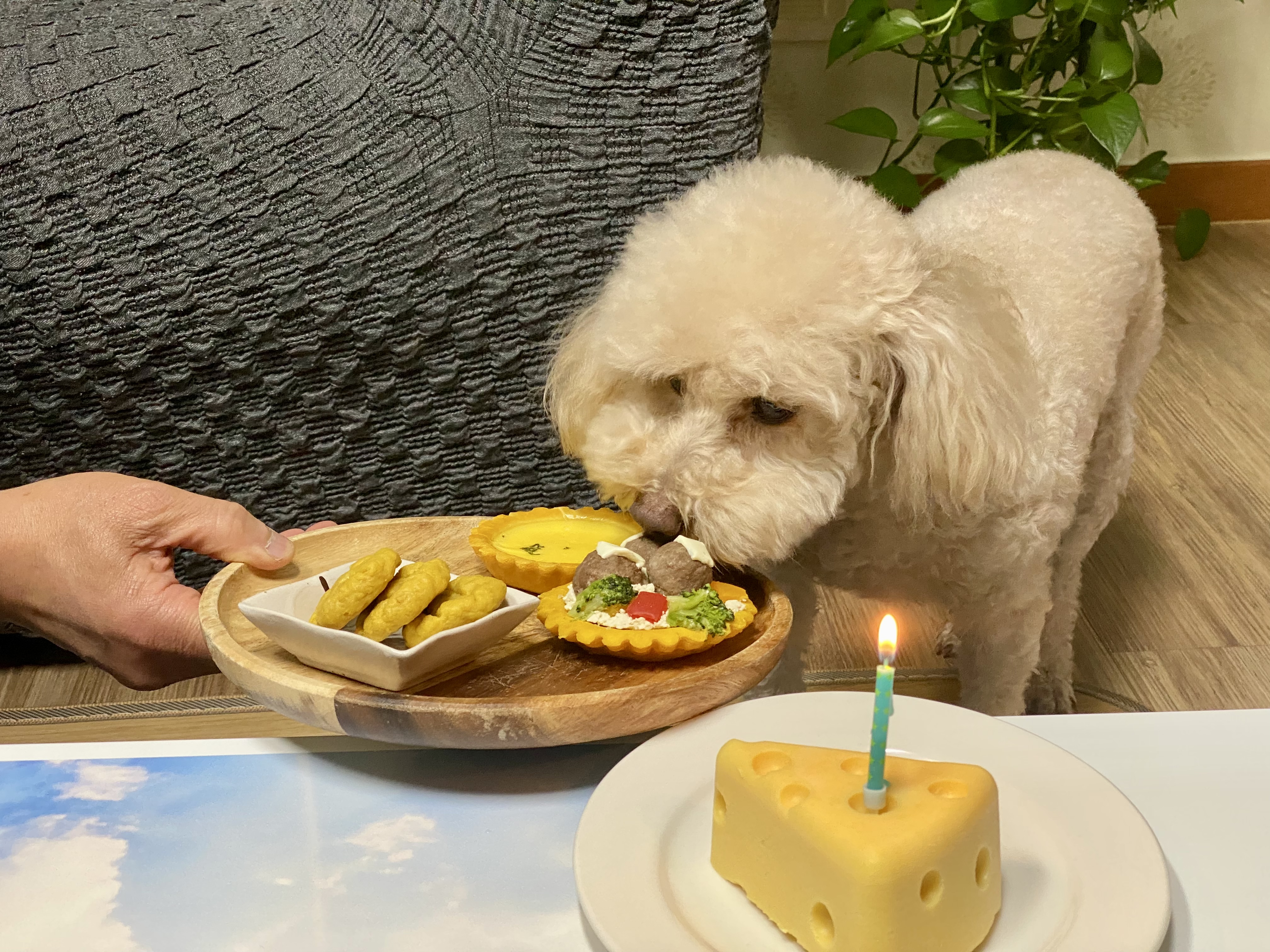 쿠크(곤지암-47) 1년 됐어요~