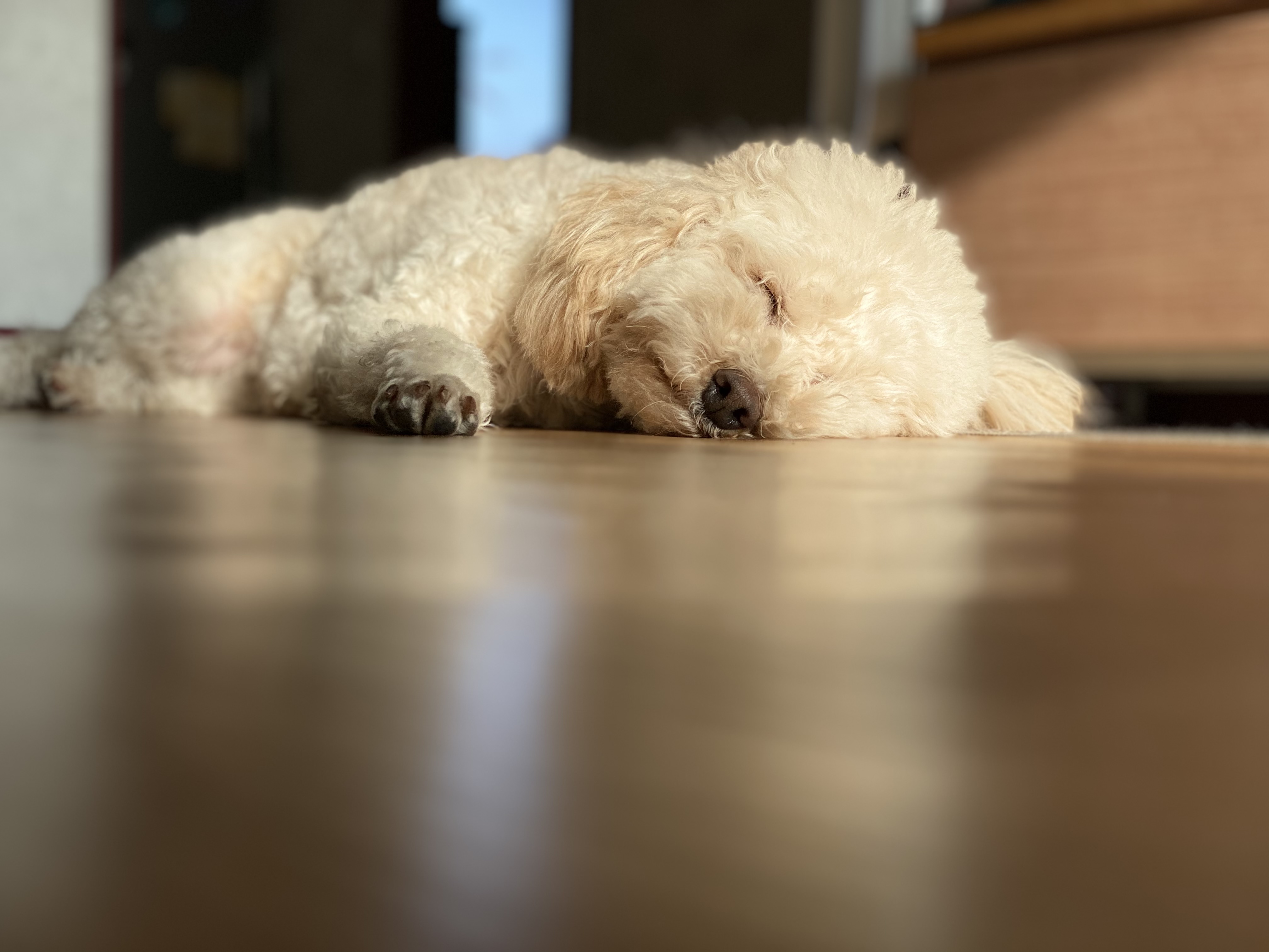 쿠크(곤지암-47) 1년 됐어요~