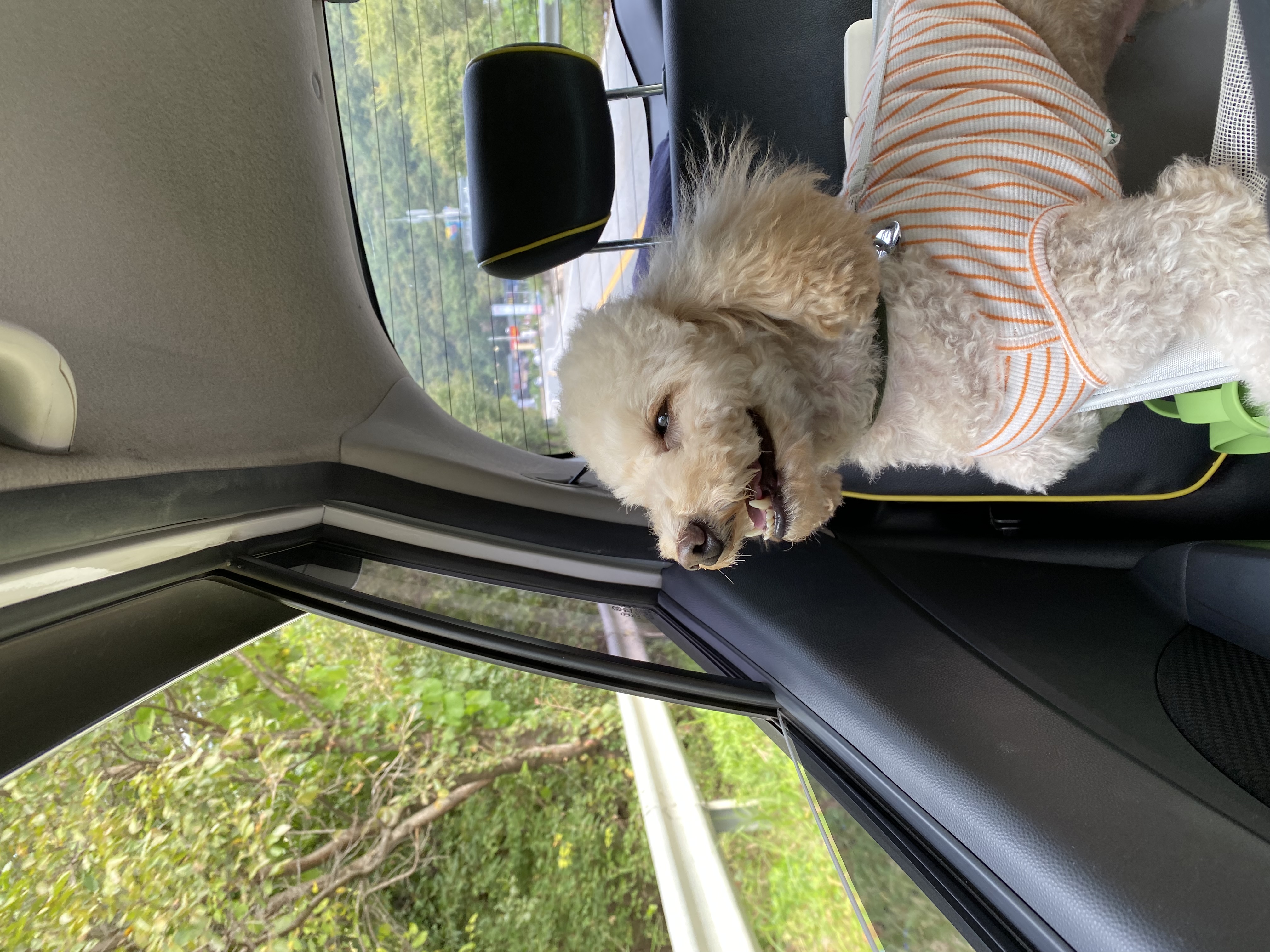 쿠크(곤지암-47) 1년 됐어요~