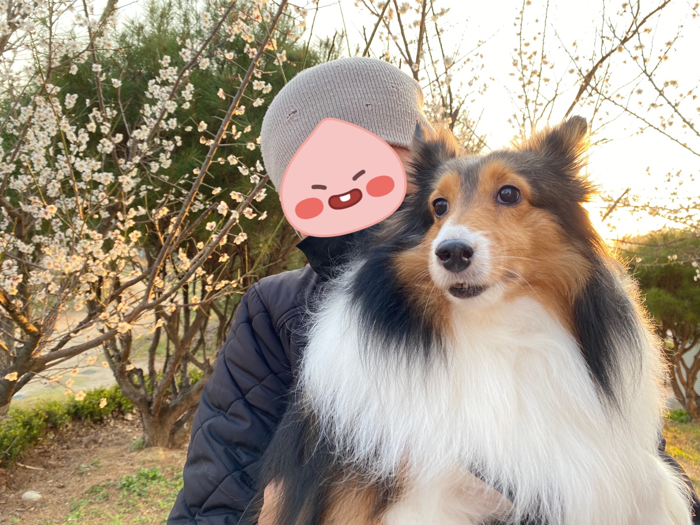 보미(곤지암 샐리) 1년~ 잘 지내고 있어요 ^^