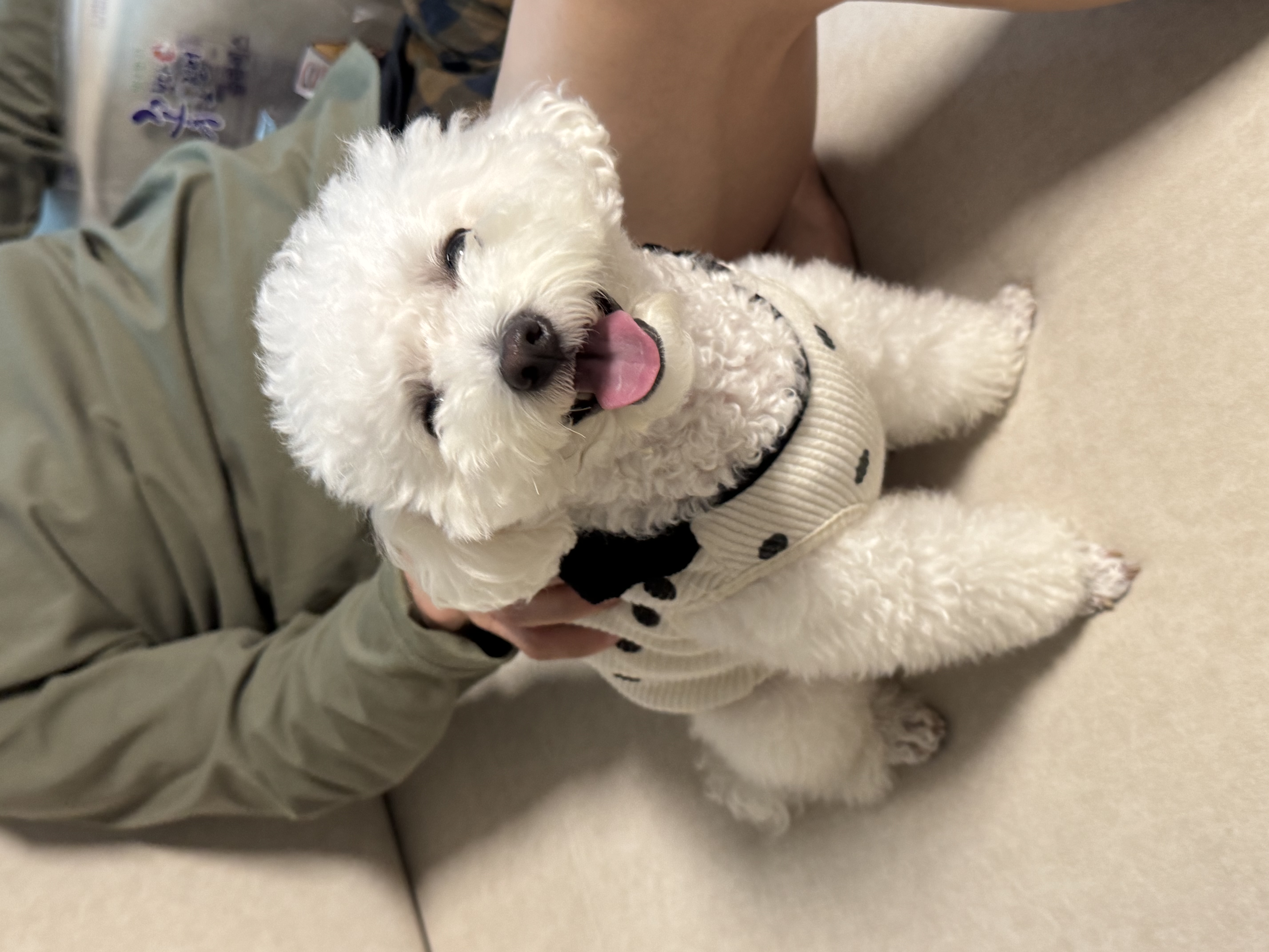 열무(구 아솜이)의 2년 3개월차 이야기