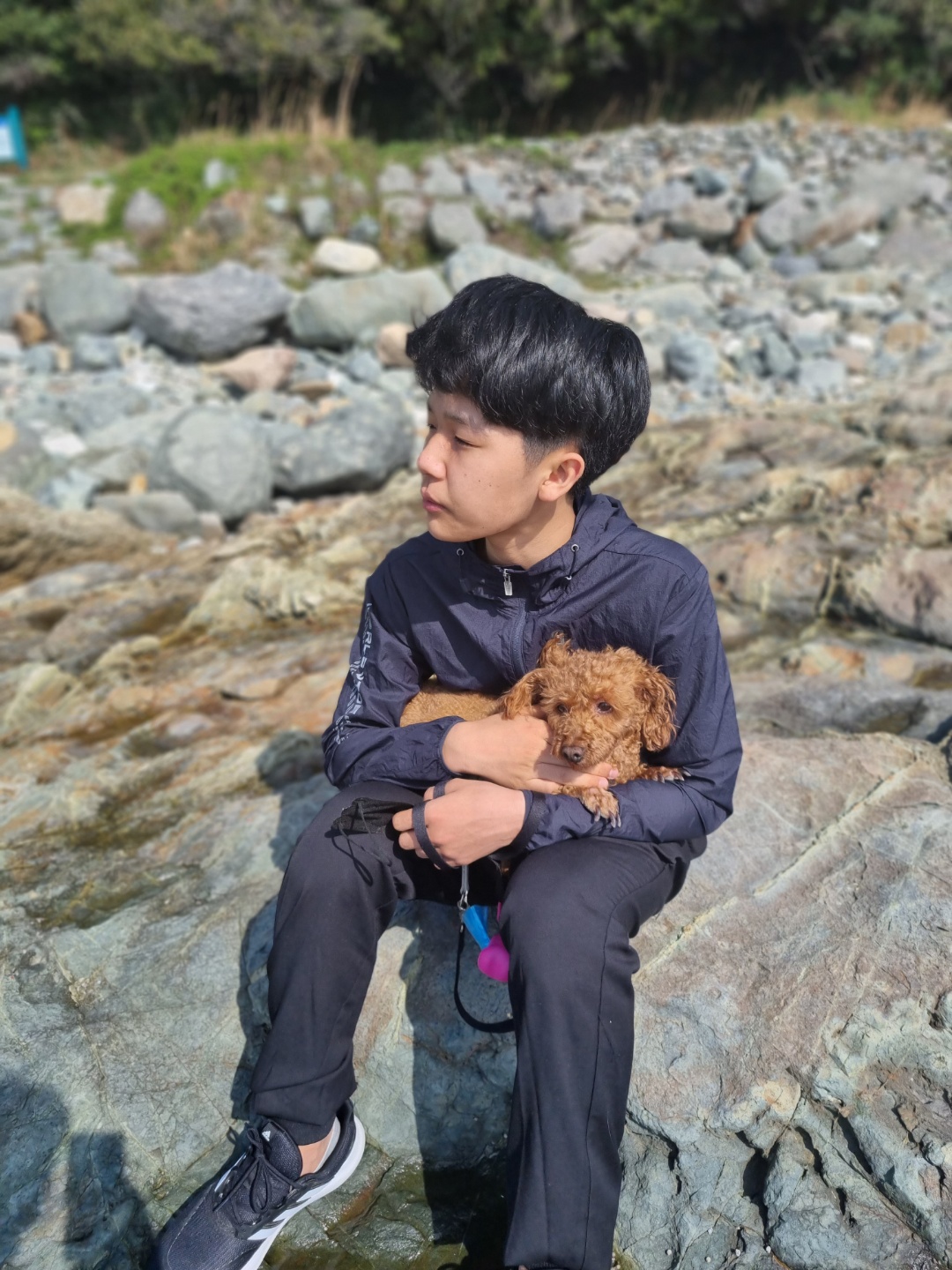 쿠키(앙금)이 소식 전해요