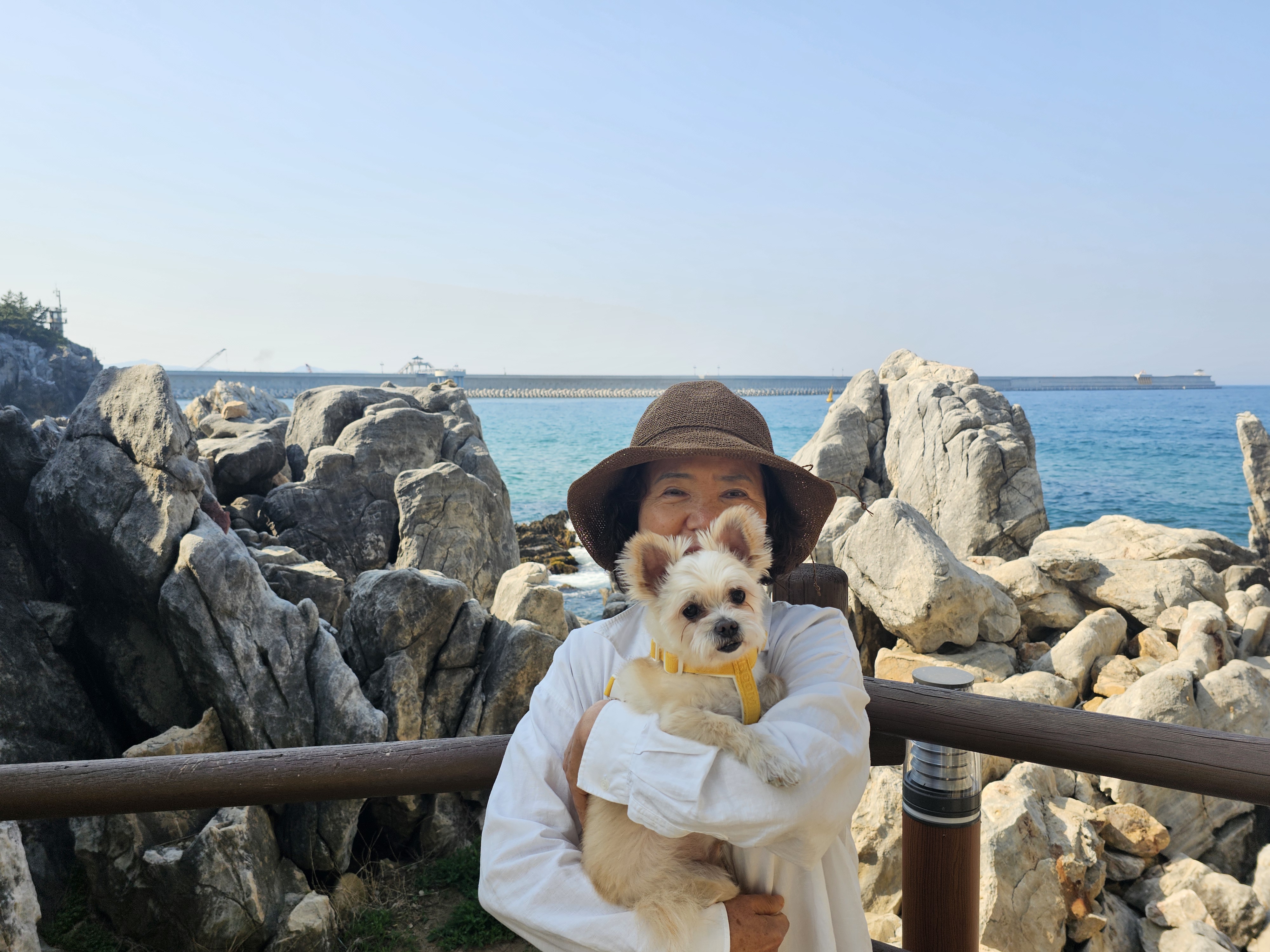 소중한 가족 두식이(구 엘디)3년 후기