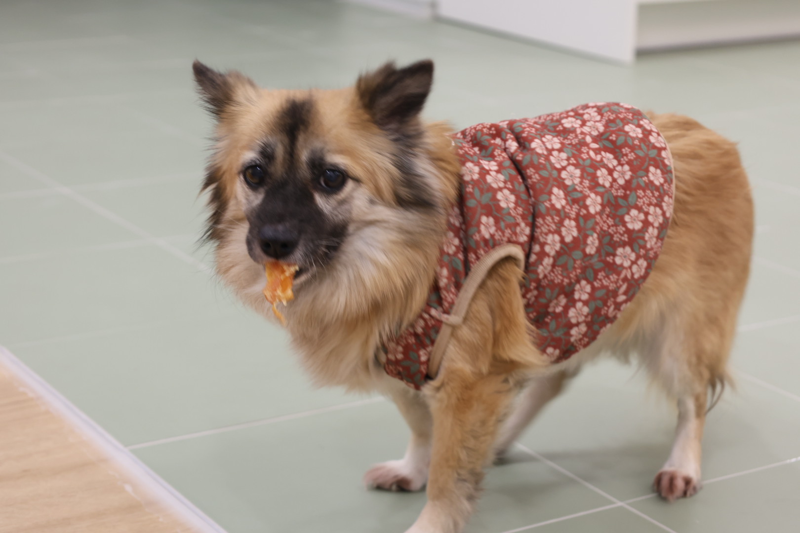 반달이 케일이 경주여행