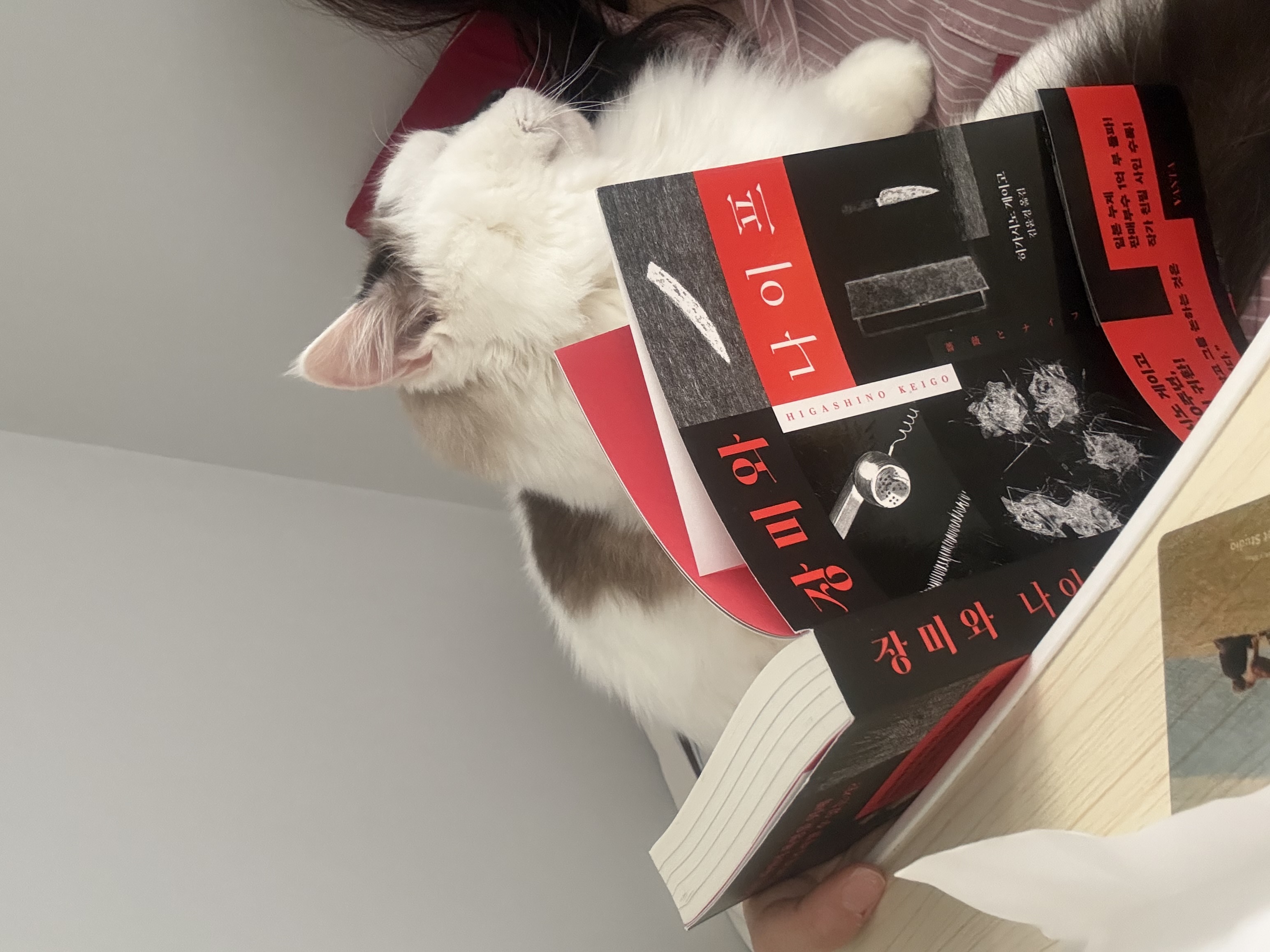 달이(썸씽이)와 2주년