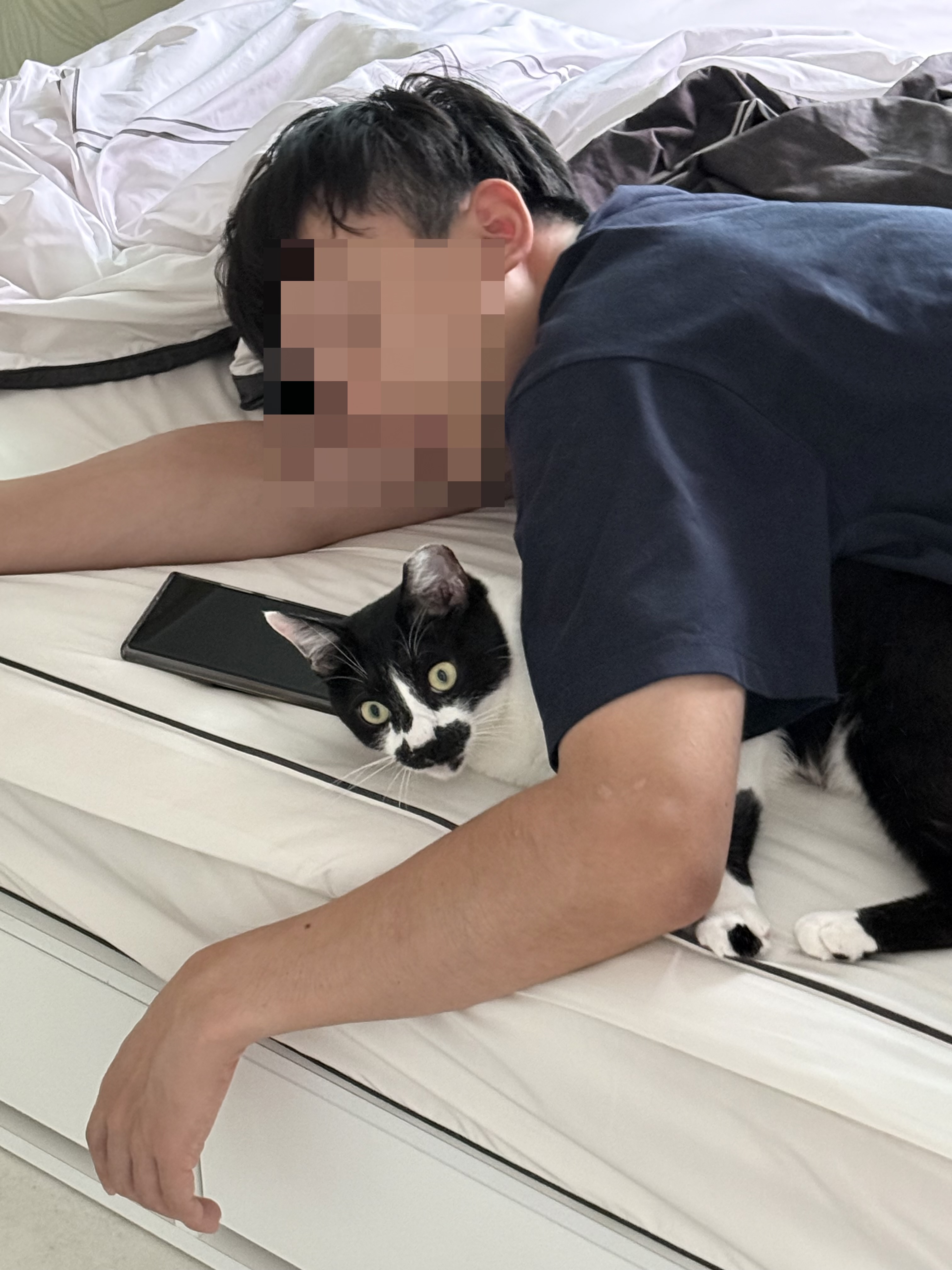 까망이 (구 오디) 입양 3개월 후기