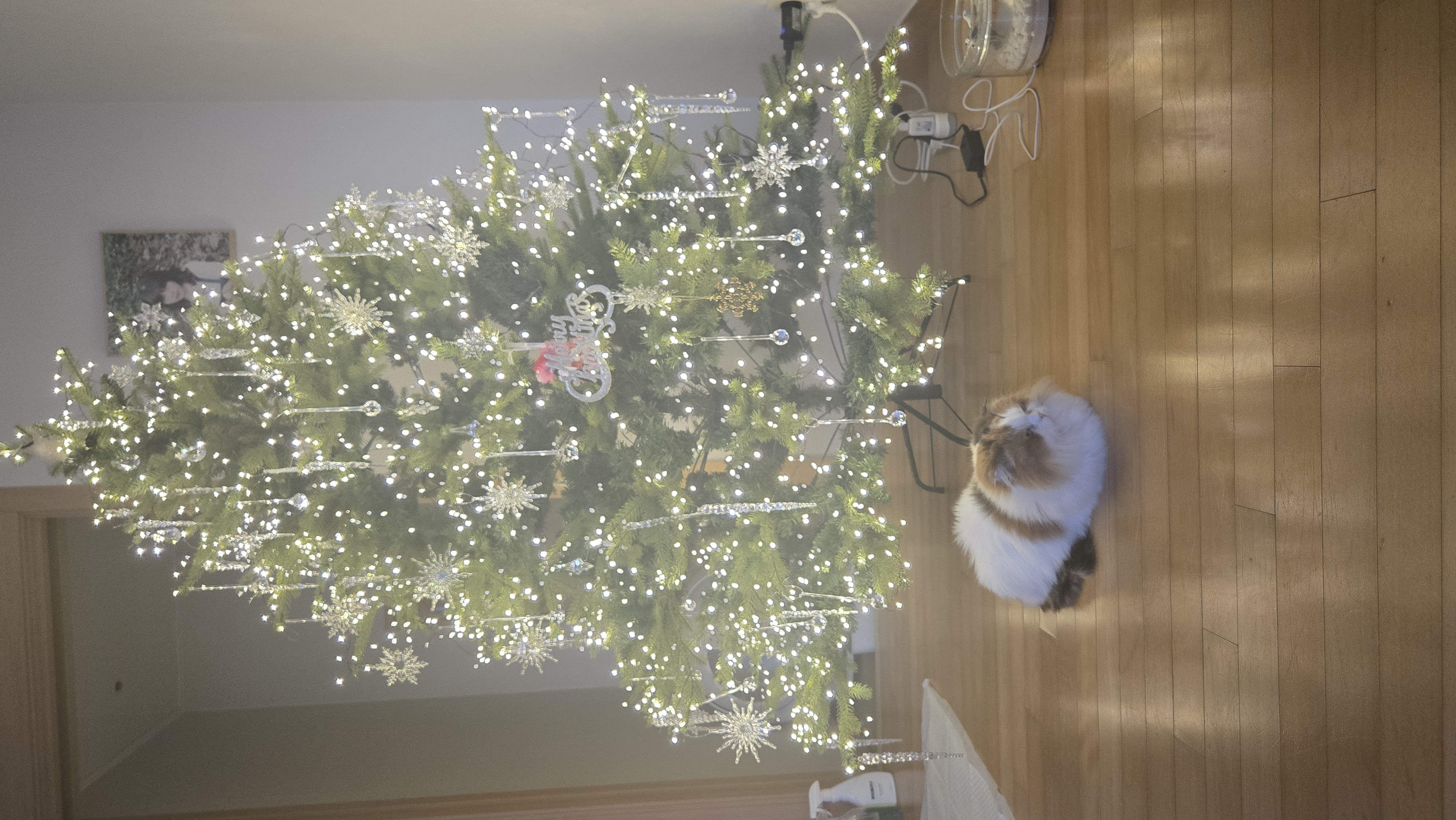 크룩섕스(알코) 1주년♡